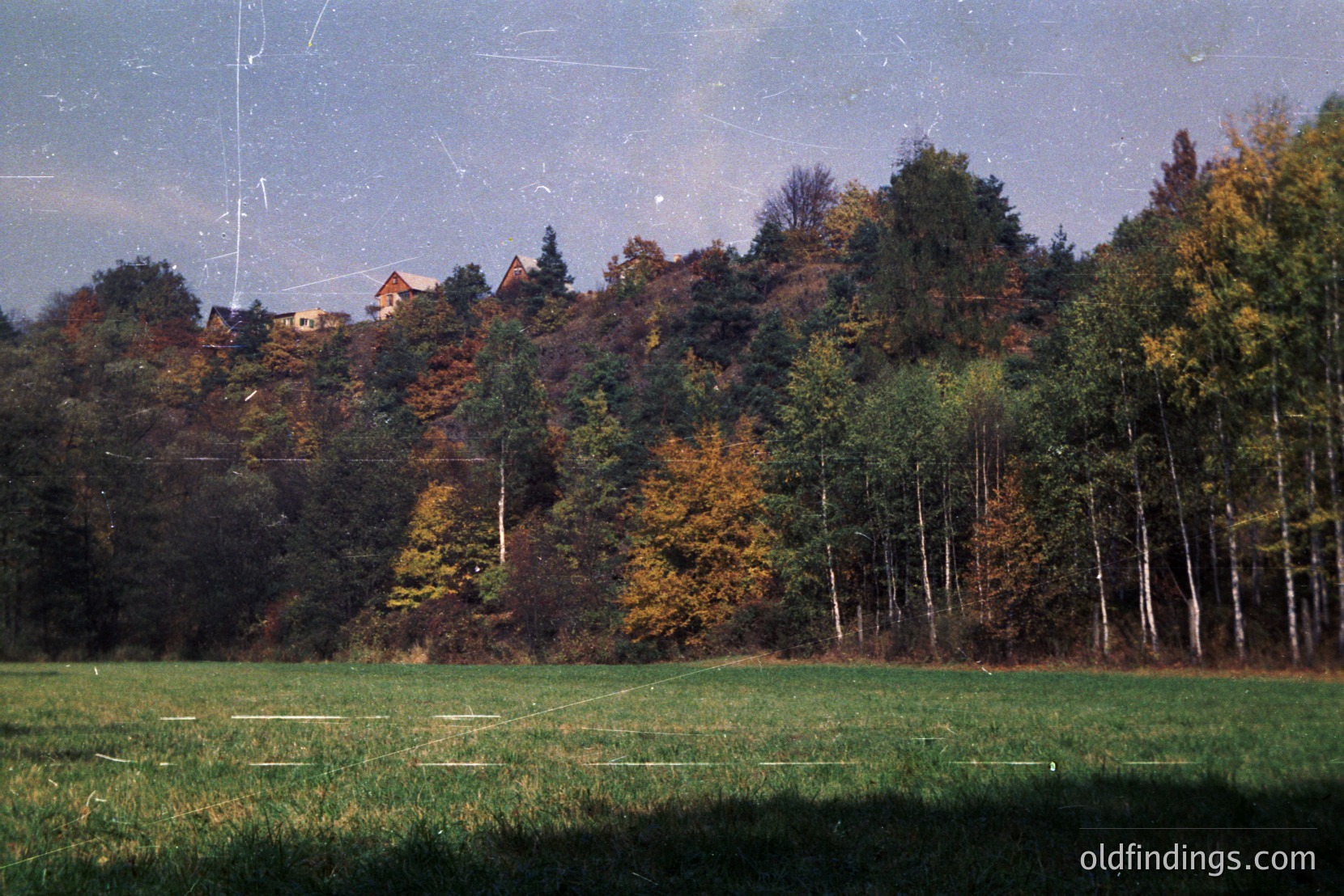 Vintage photograph