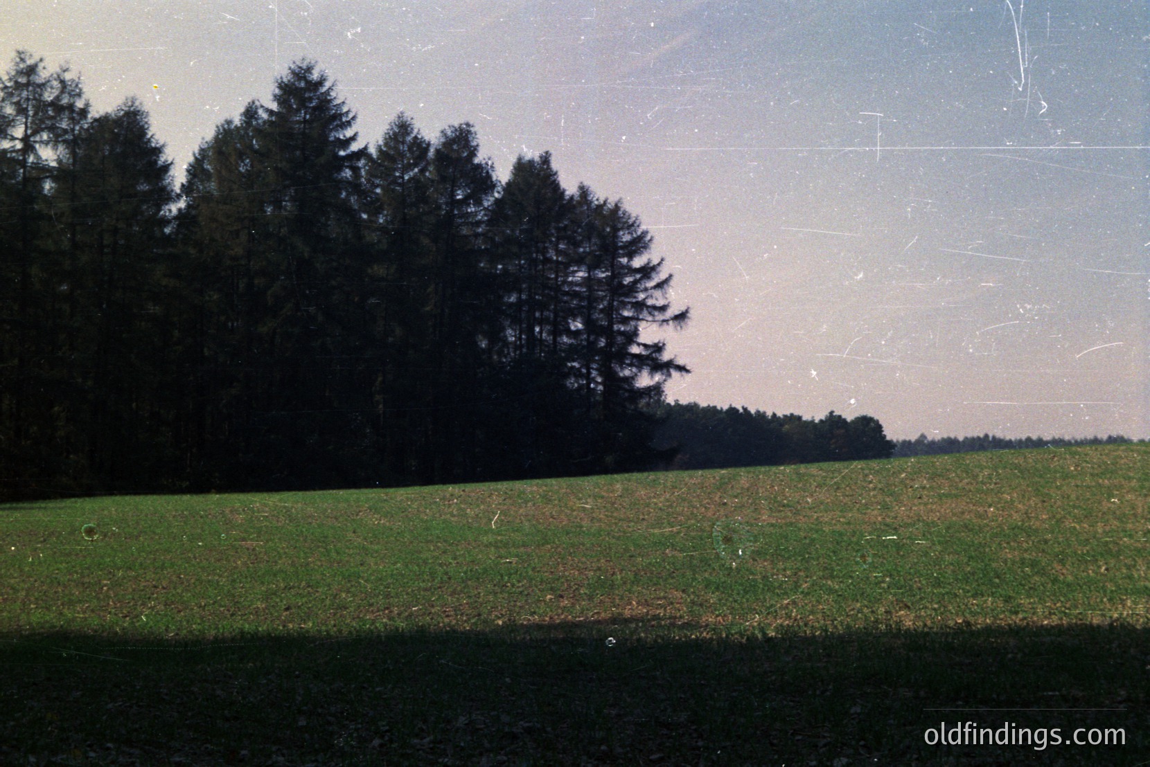 Vintage photograph