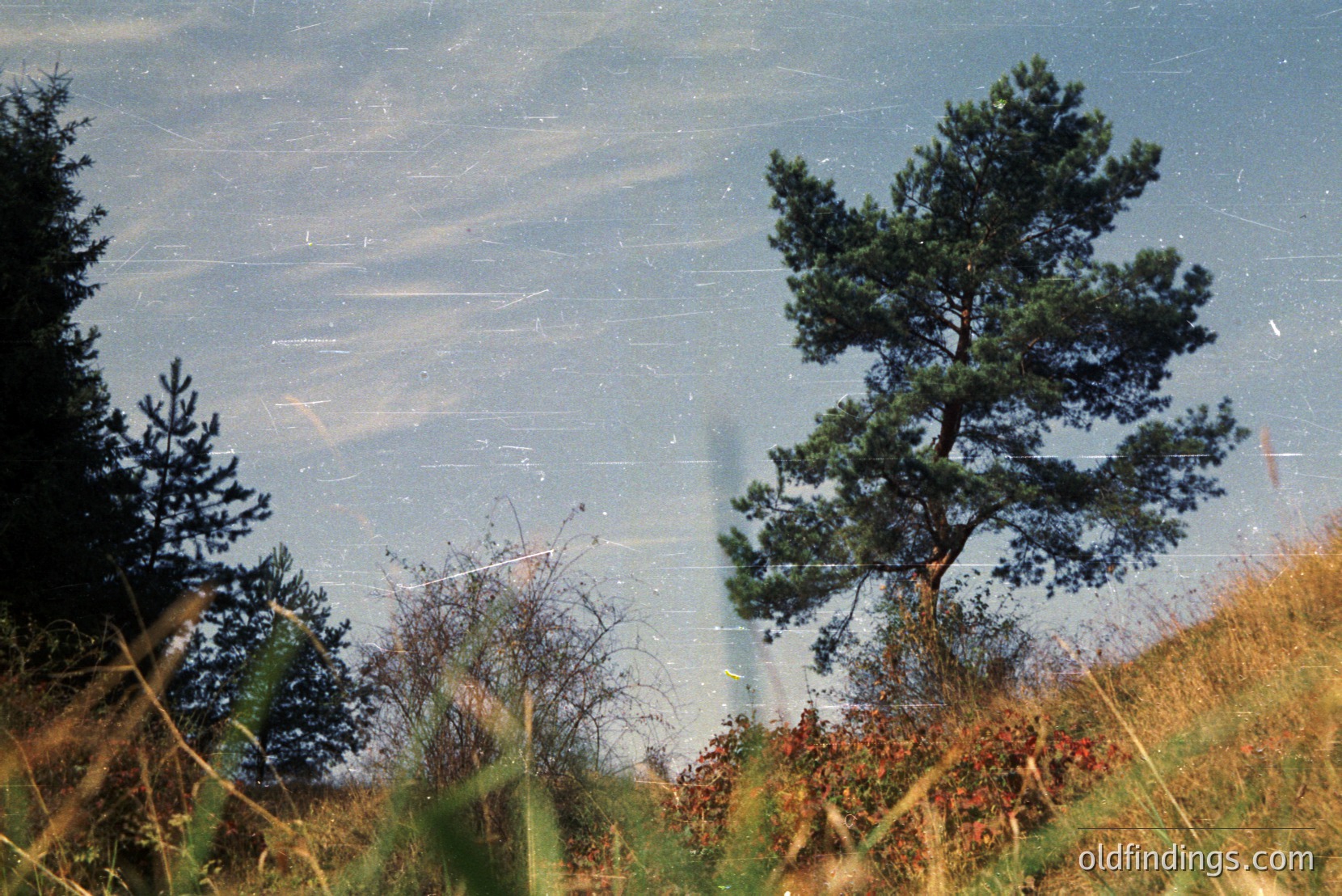 Vintage photograph
