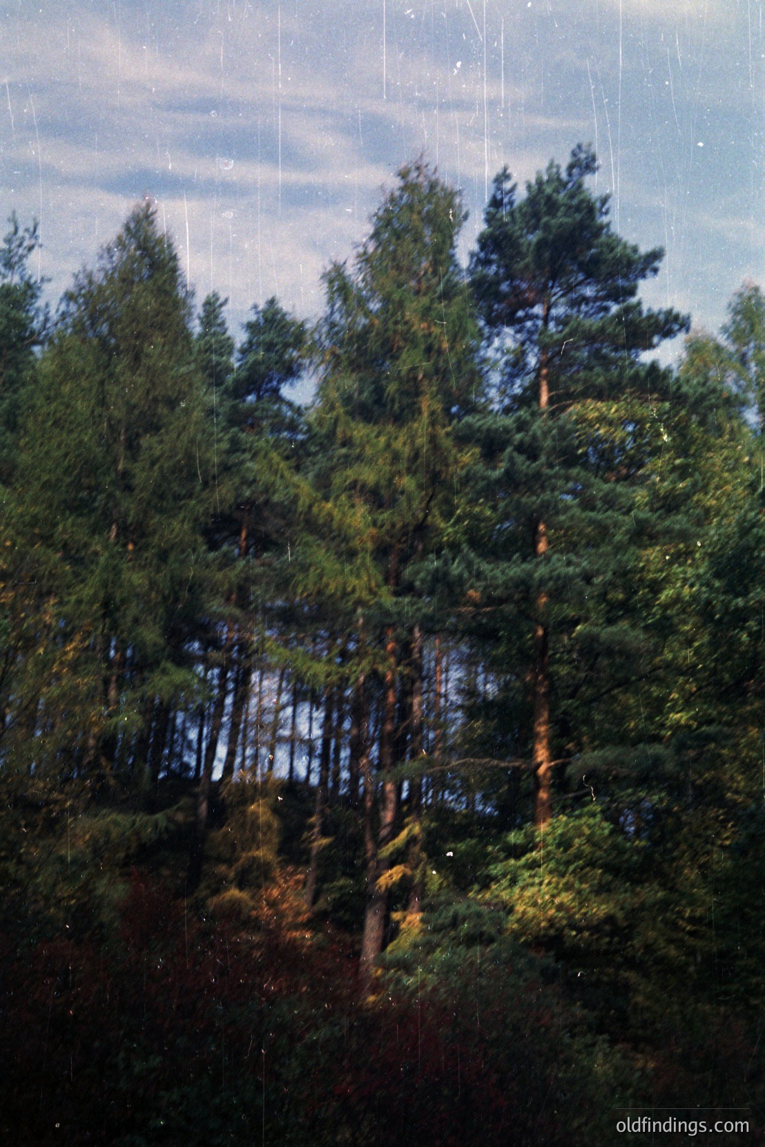 Vintage photograph