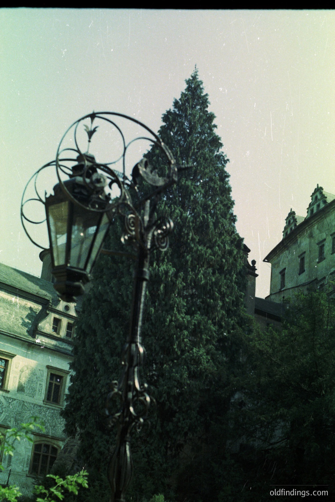 Vintage photograph