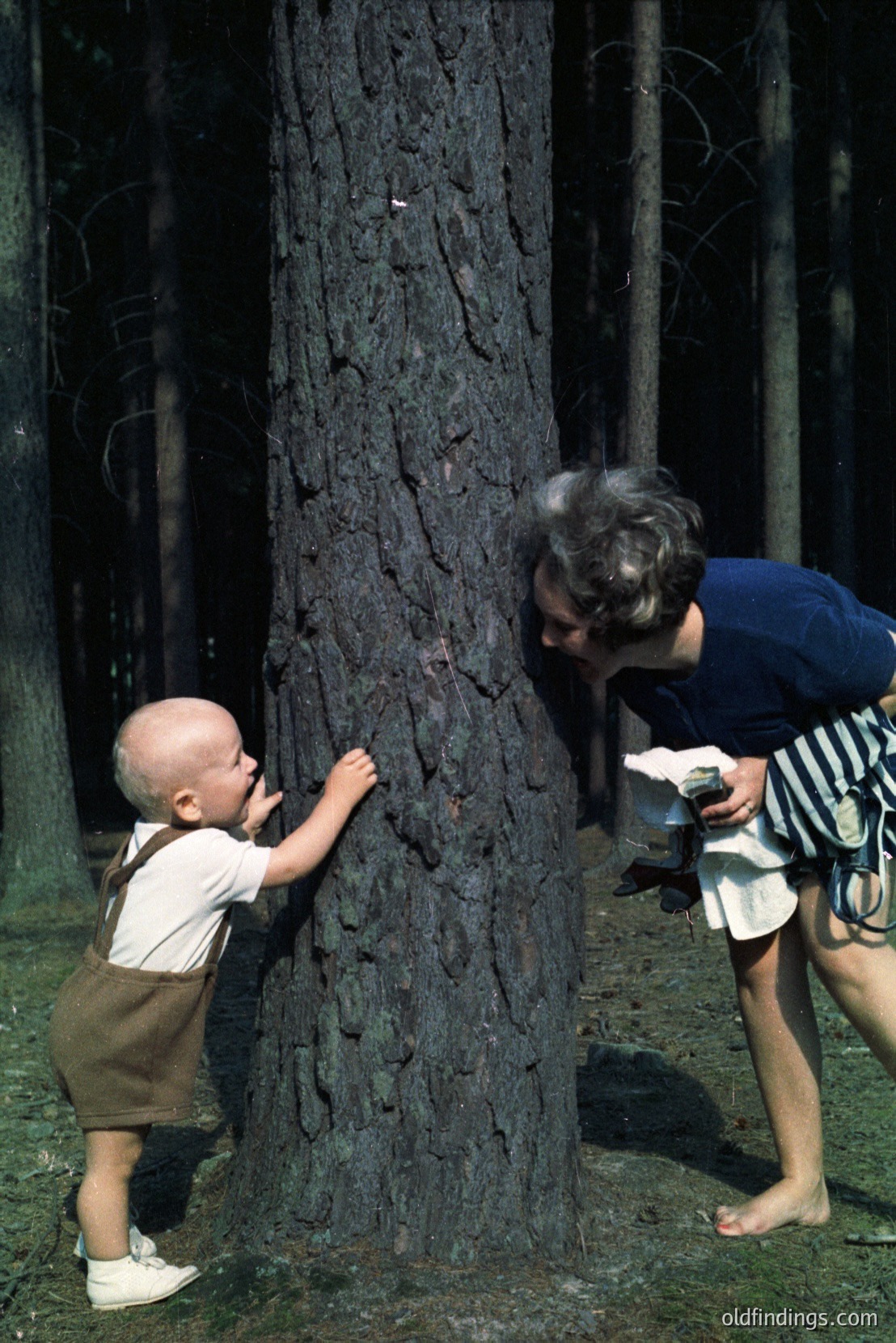Vintage photograph
