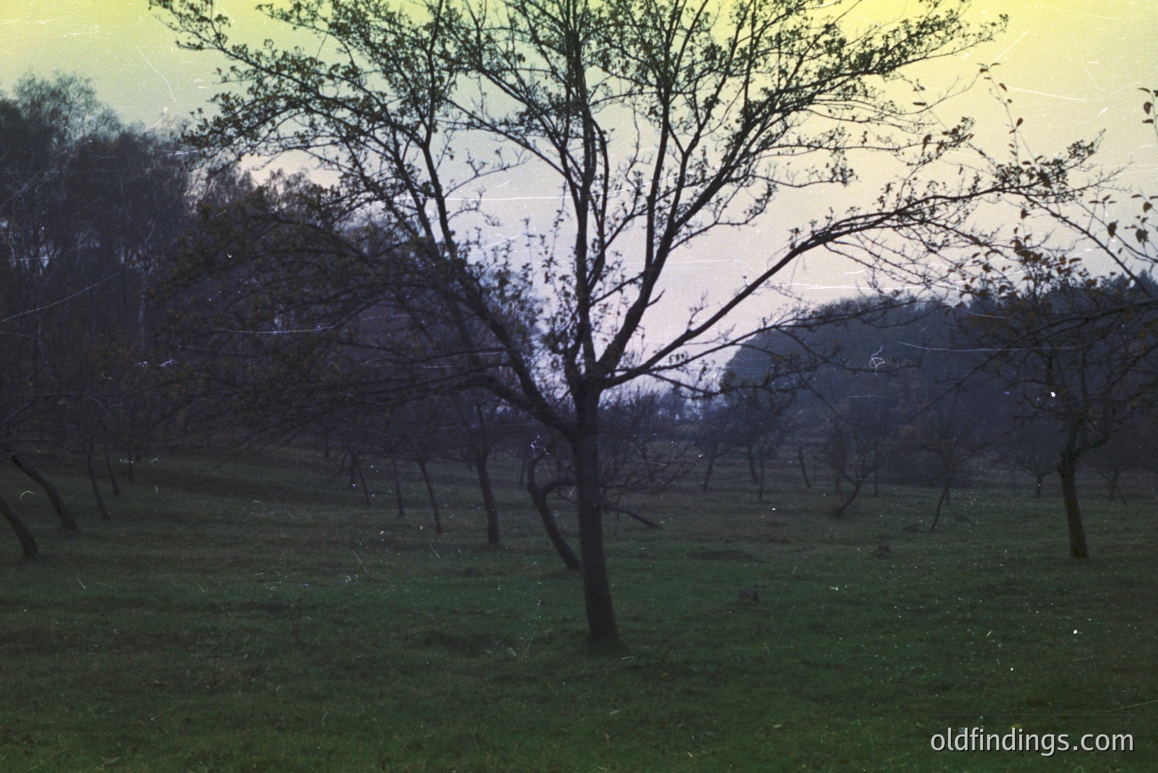 Vintage photograph