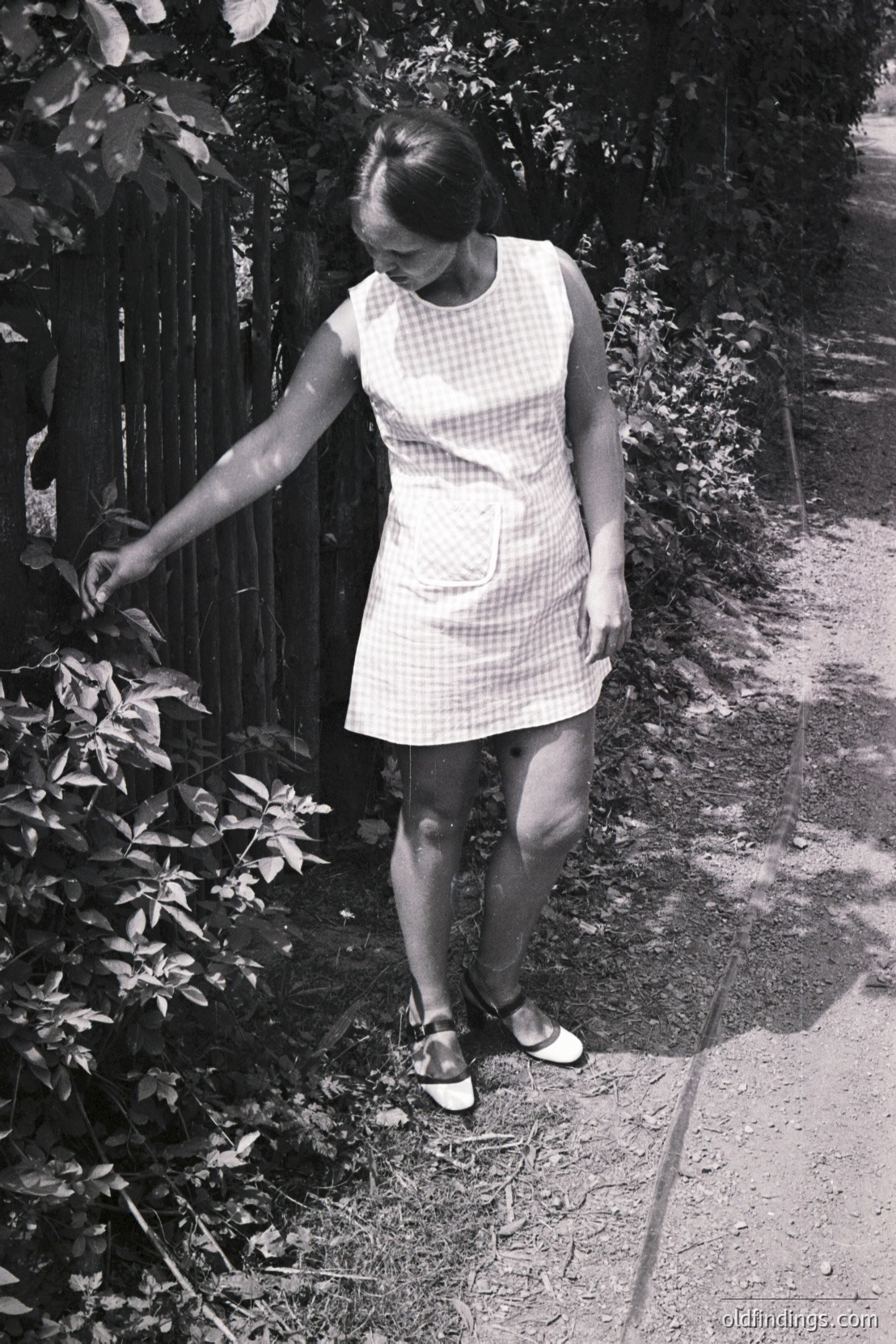 Vintage photograph