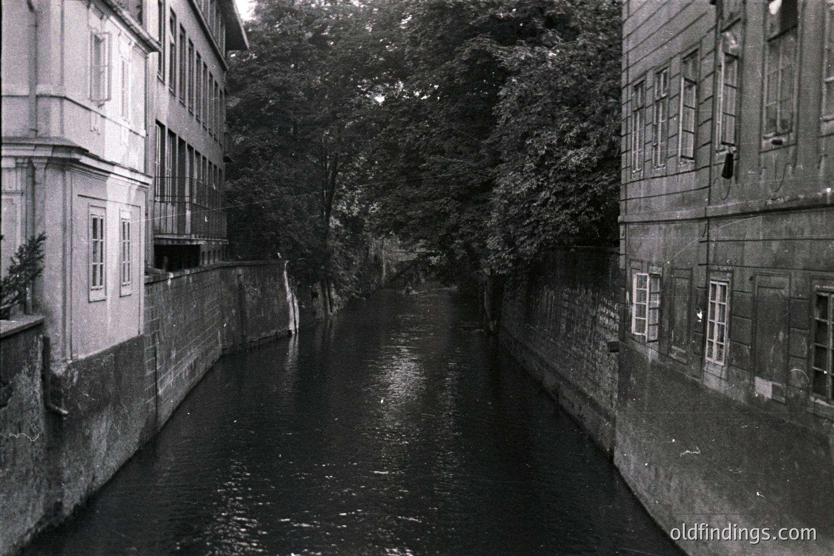 Vintage photograph
