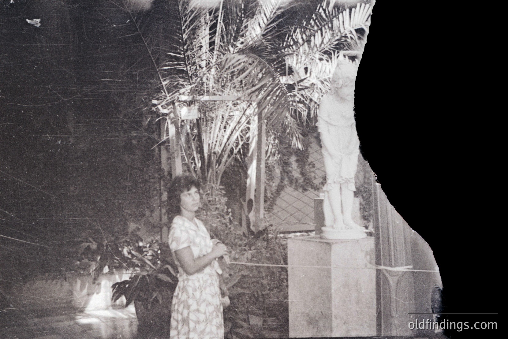 Vintage photograph