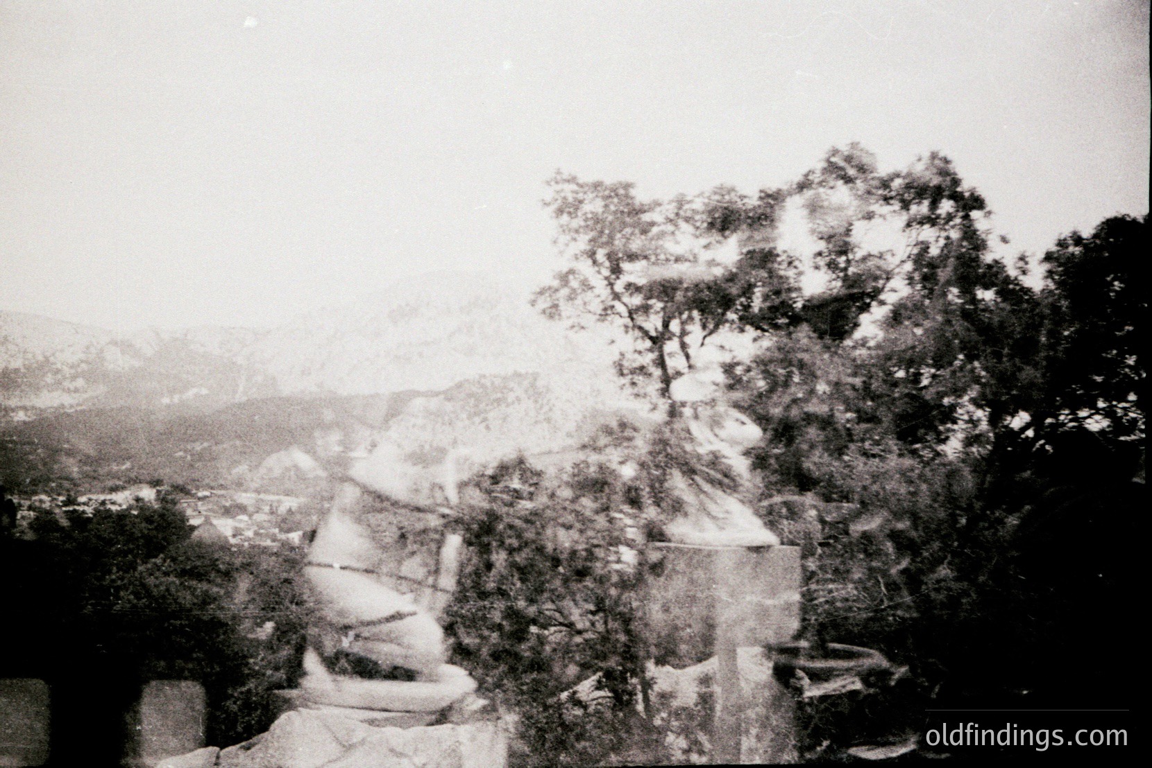 Vintage photograph