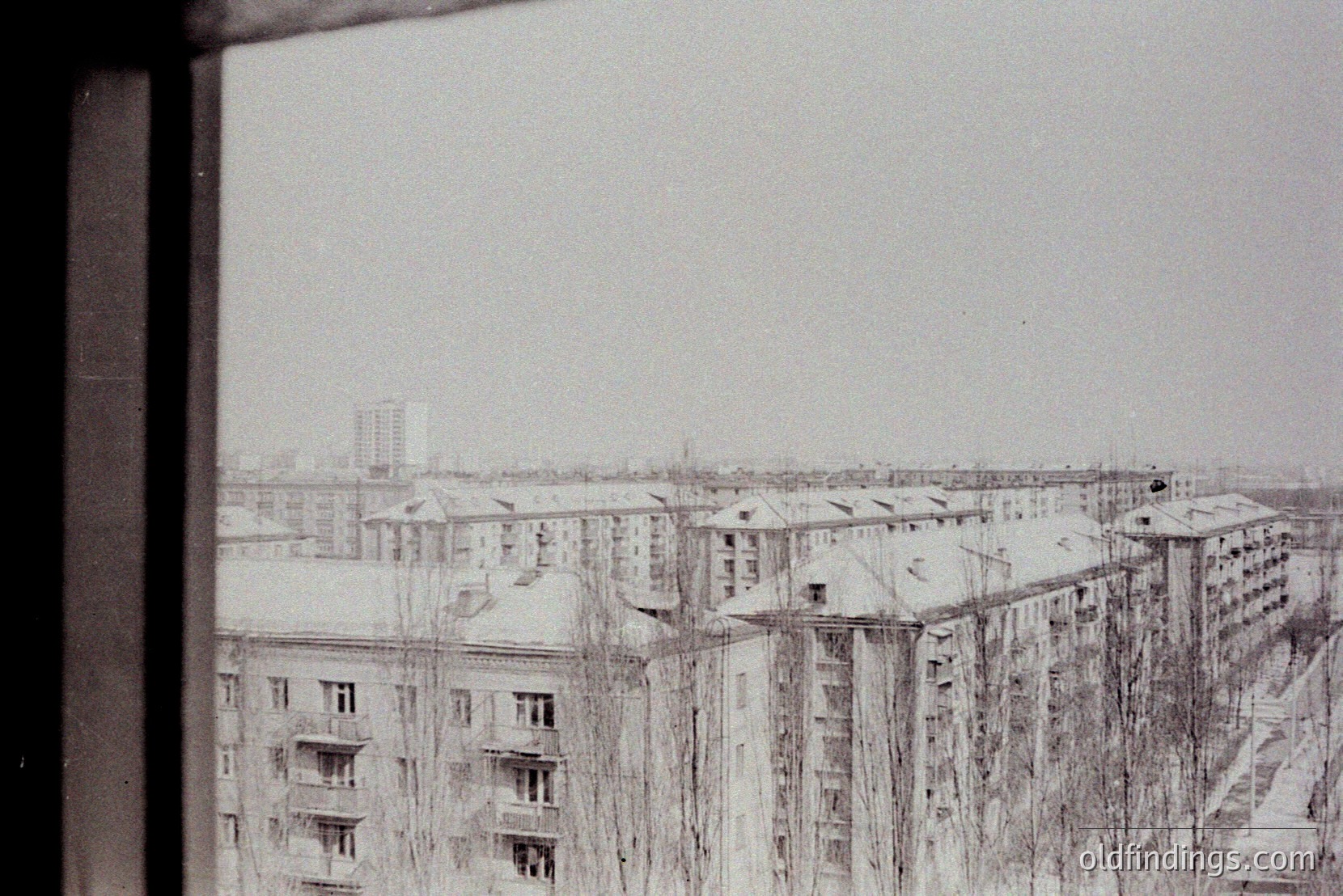 Vintage photograph