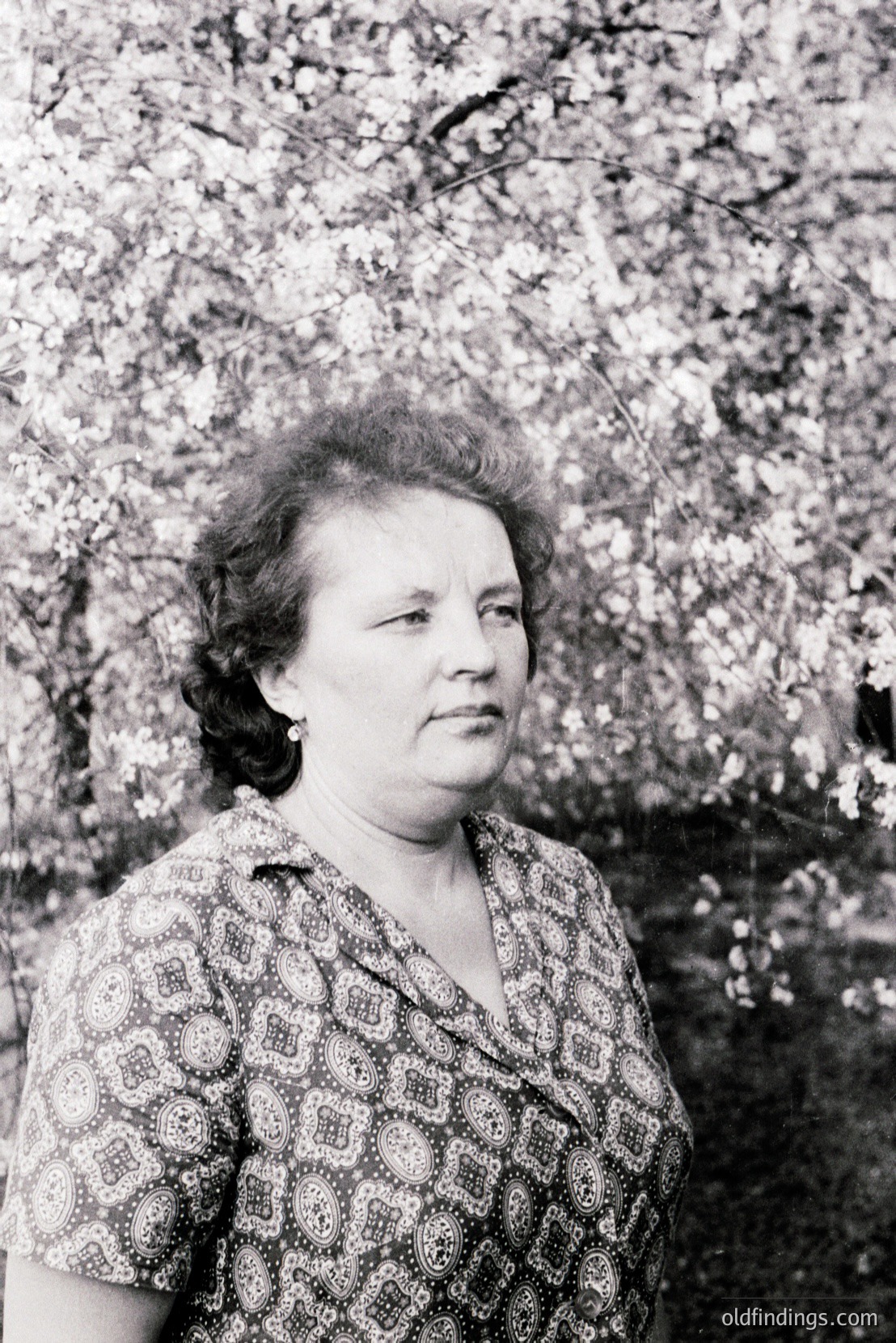Vintage photograph