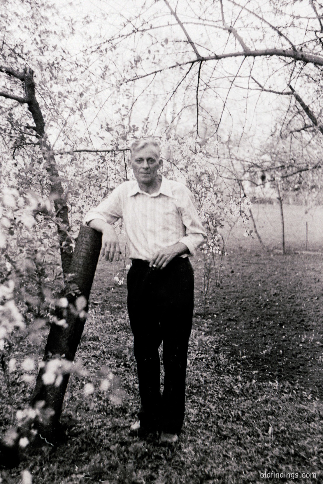 Vintage photograph