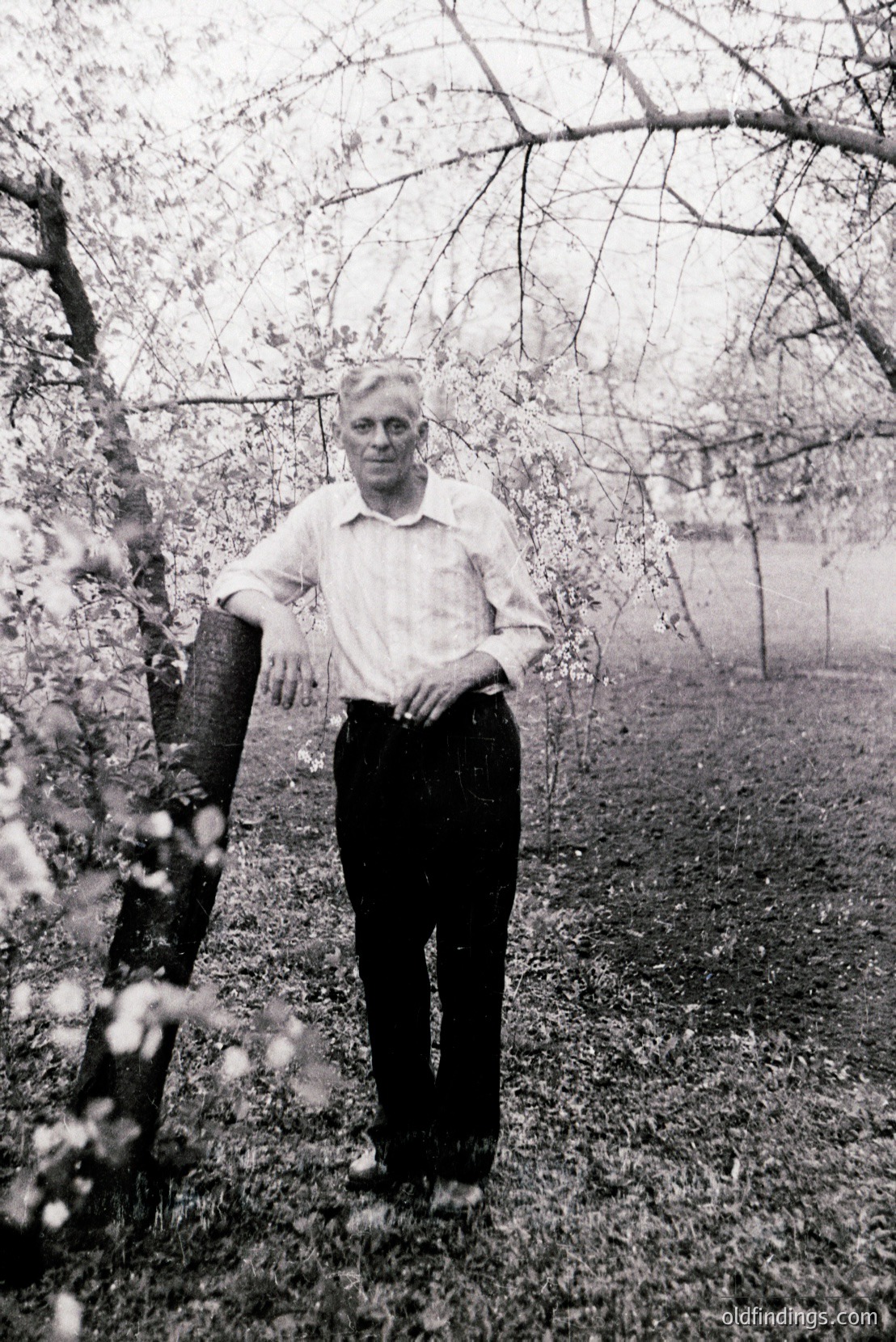 Vintage photograph