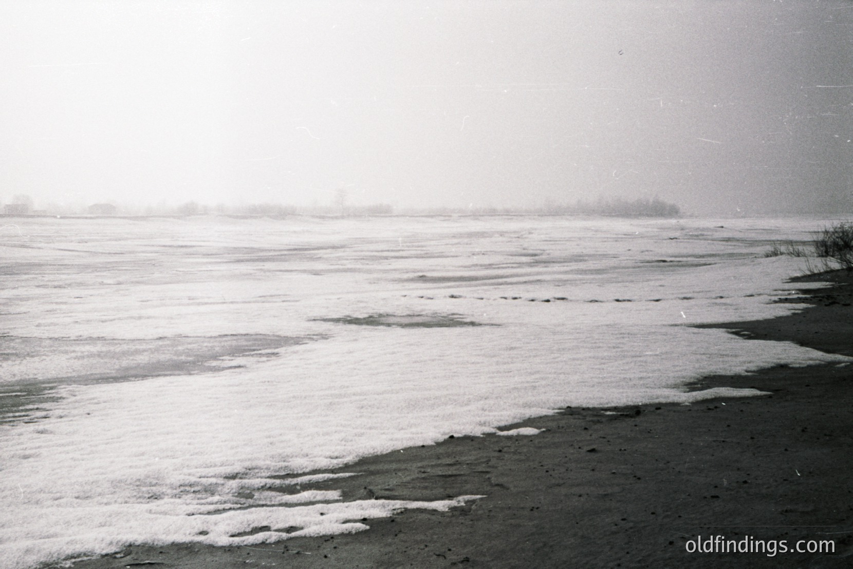 Vintage photograph