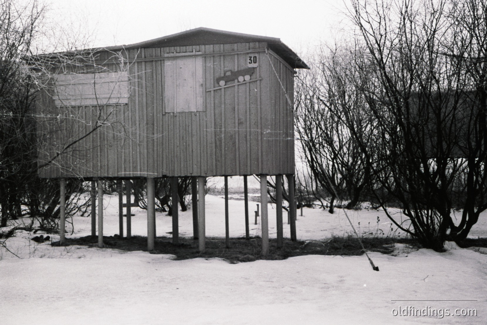 Vintage photograph