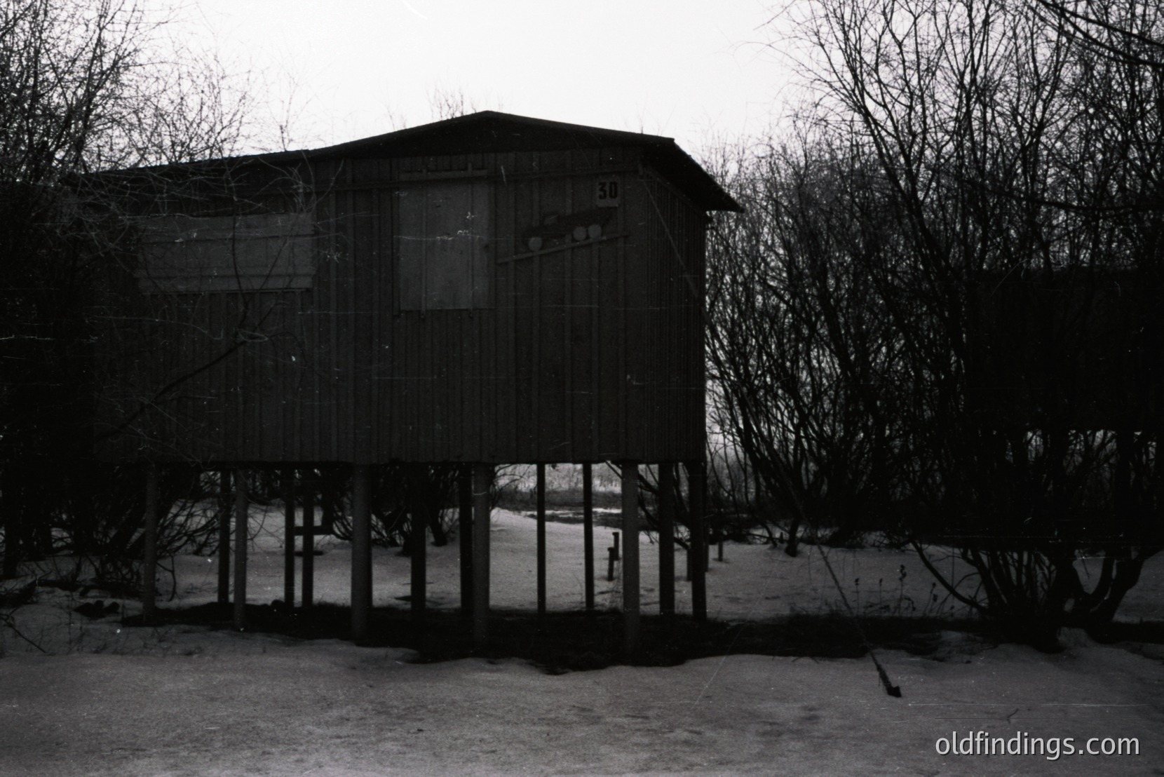 Vintage photograph