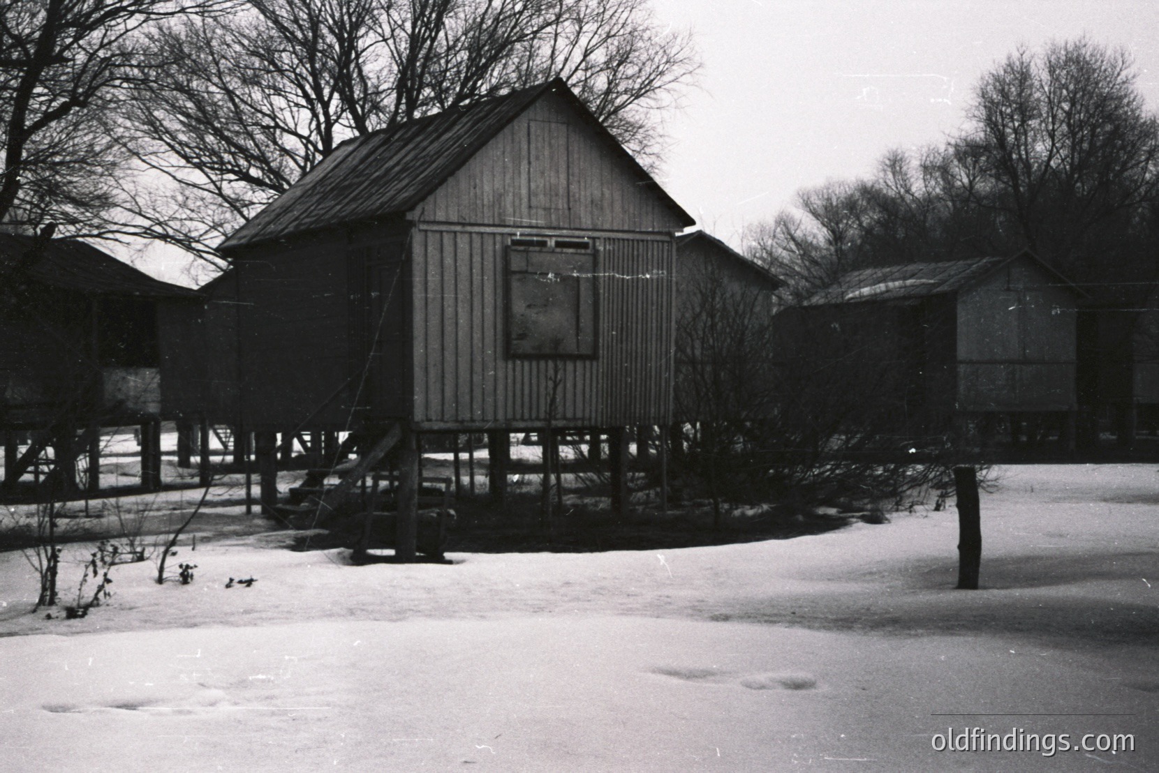 Vintage photograph