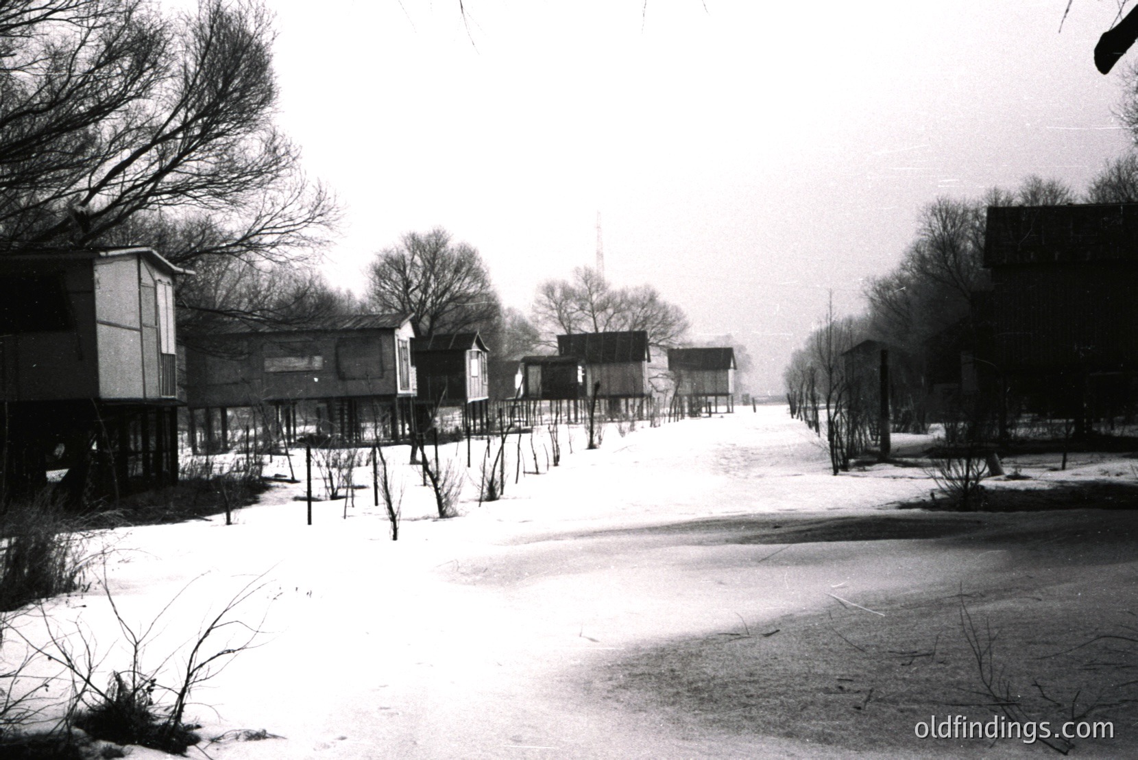 Vintage photograph