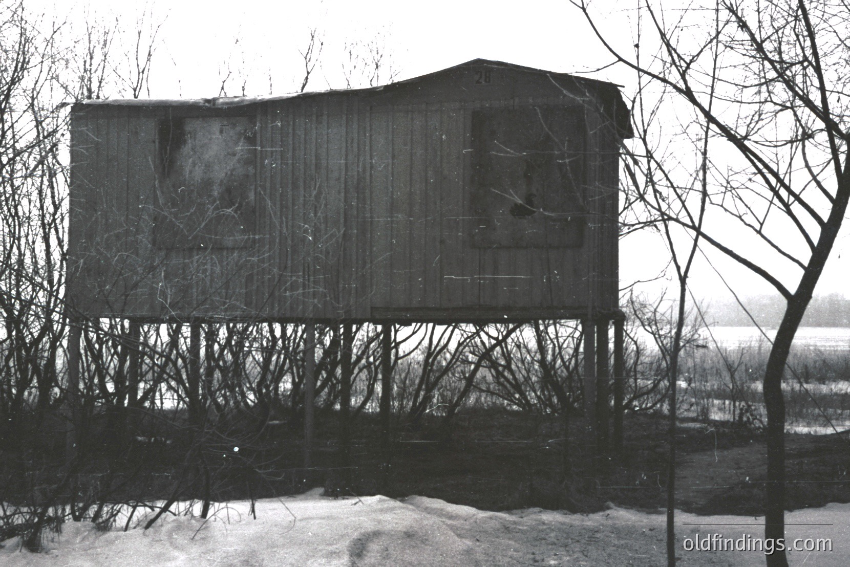 Vintage photograph