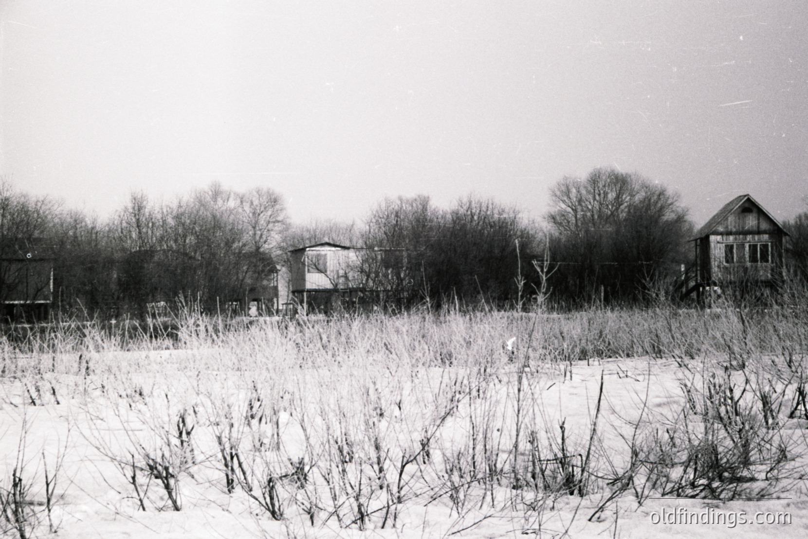Vintage photograph