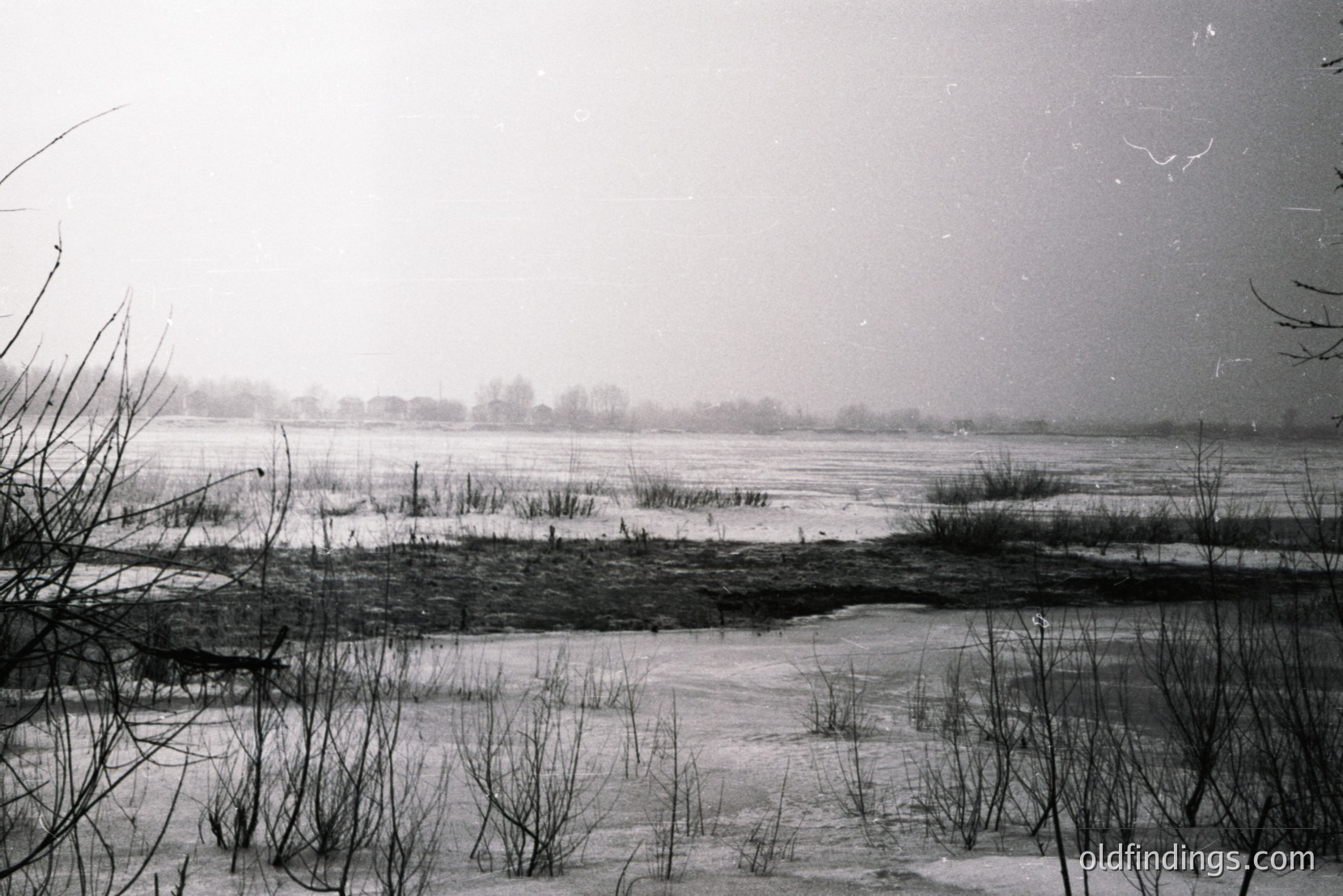 Vintage photograph