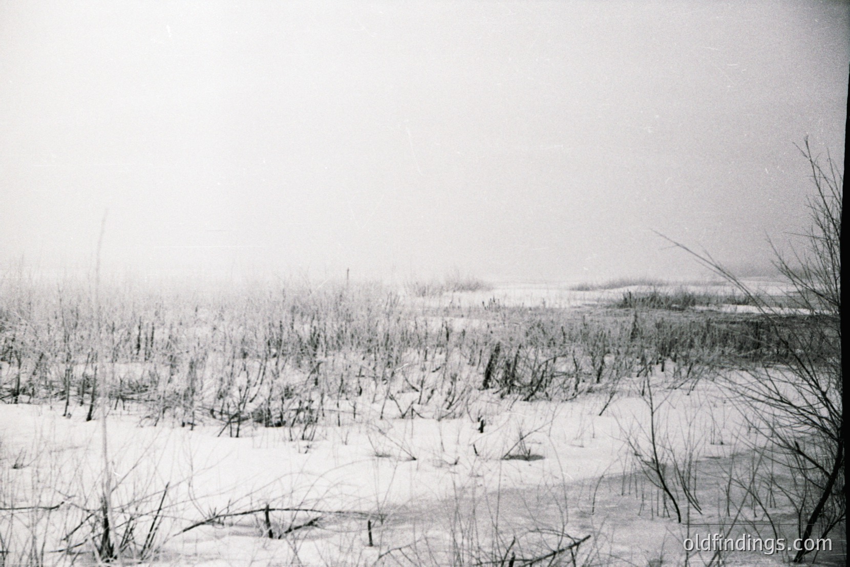 Vintage photograph