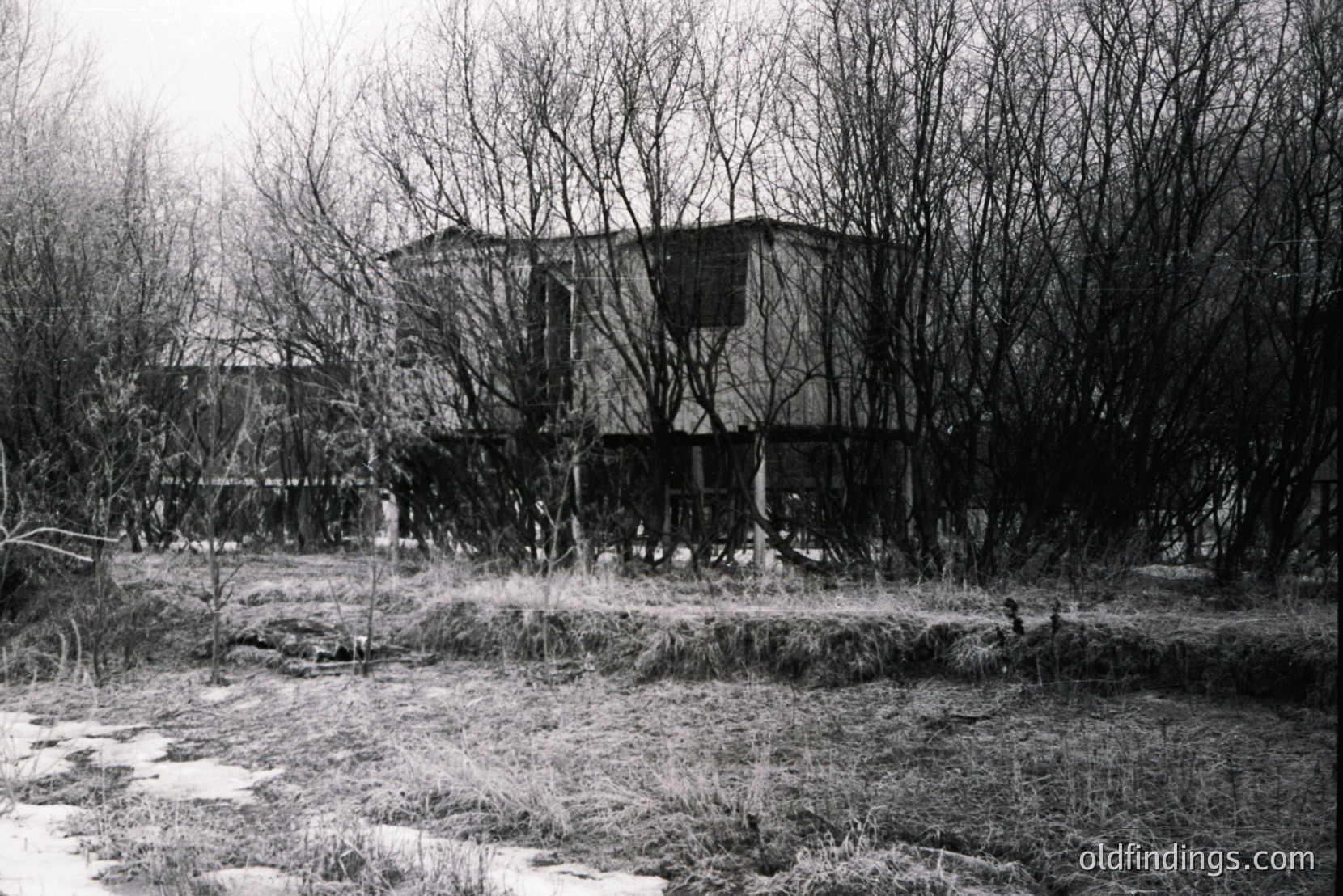 Vintage photograph