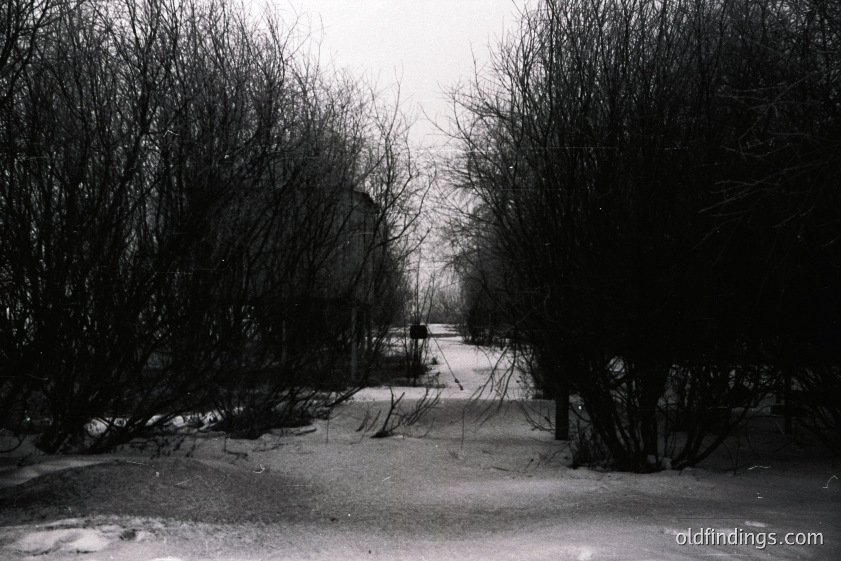 Vintage photograph