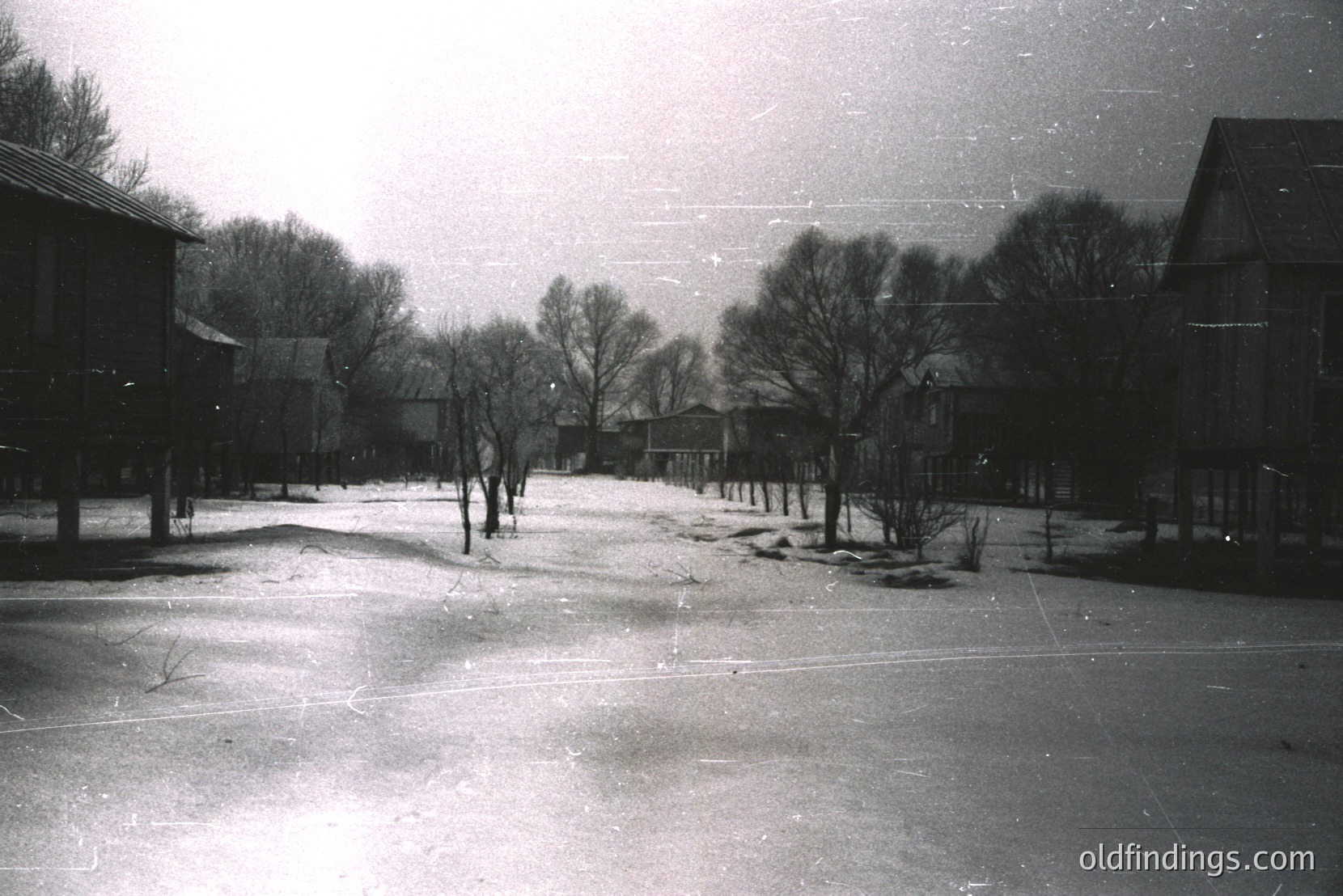 Vintage photograph