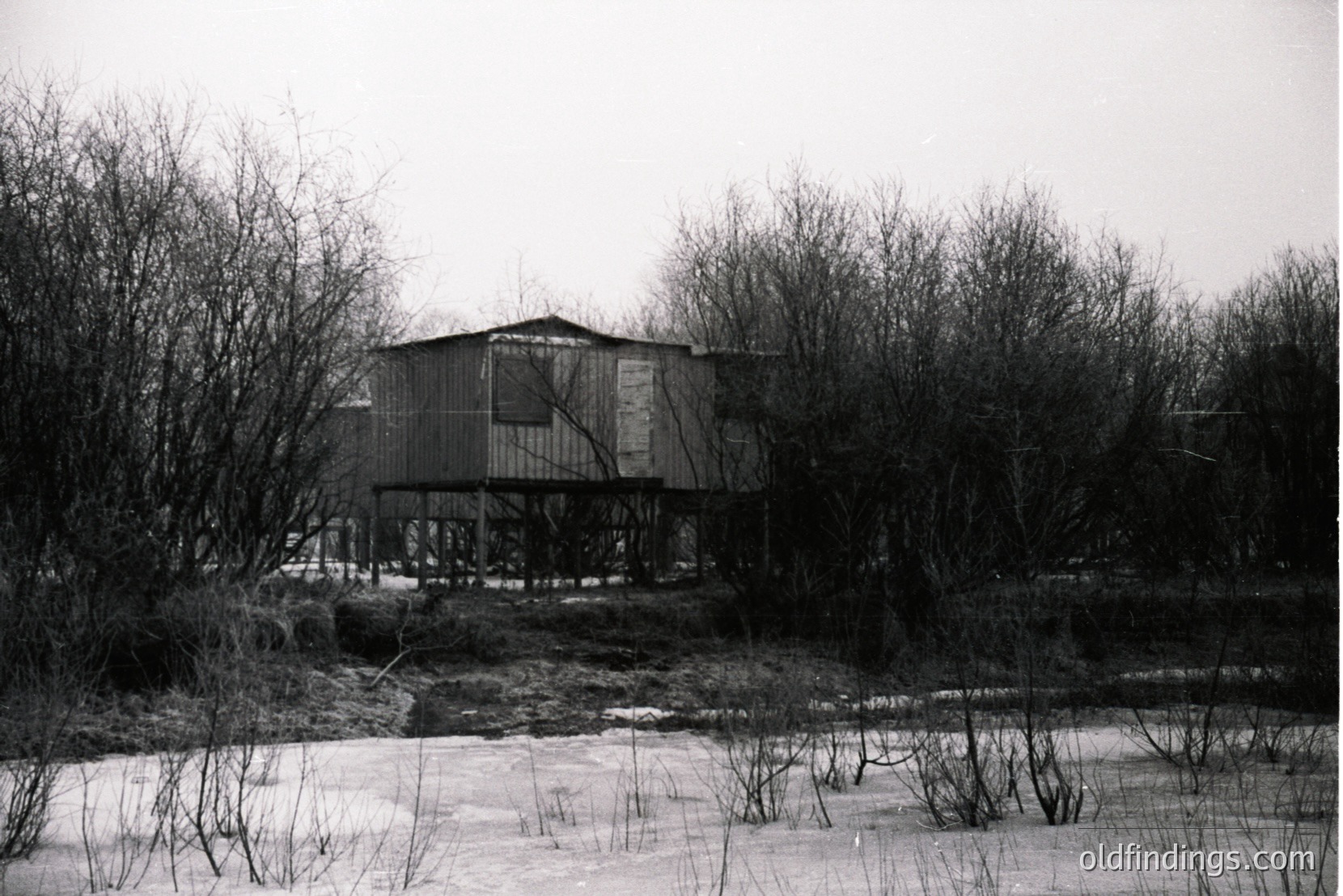 Vintage photograph