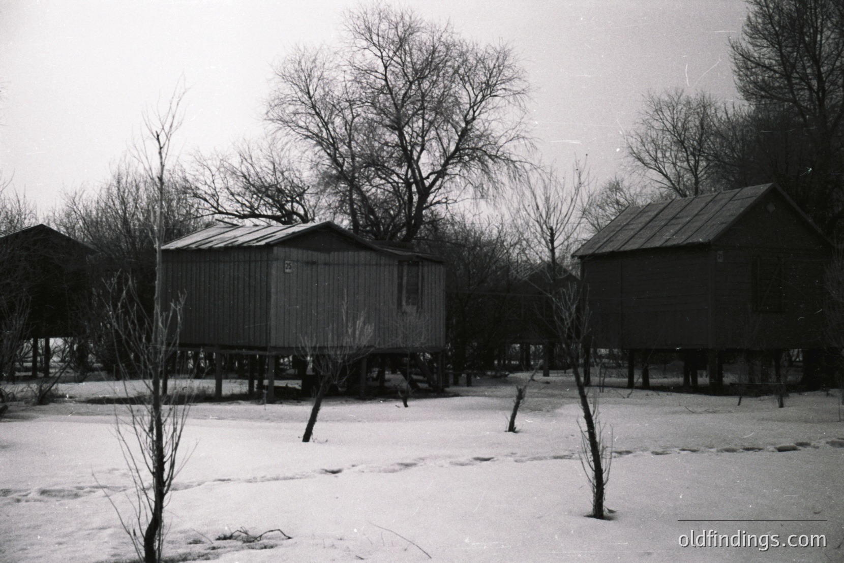 Vintage photograph