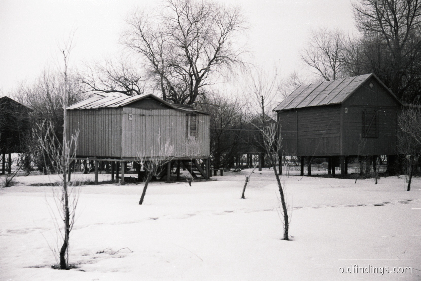 Vintage photograph