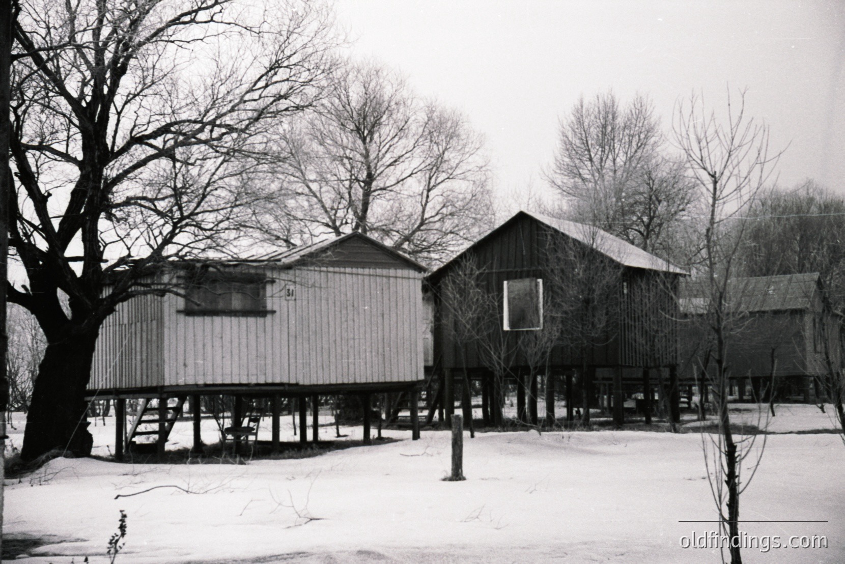 Vintage photograph