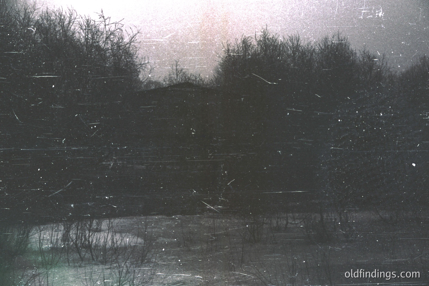 Vintage photograph