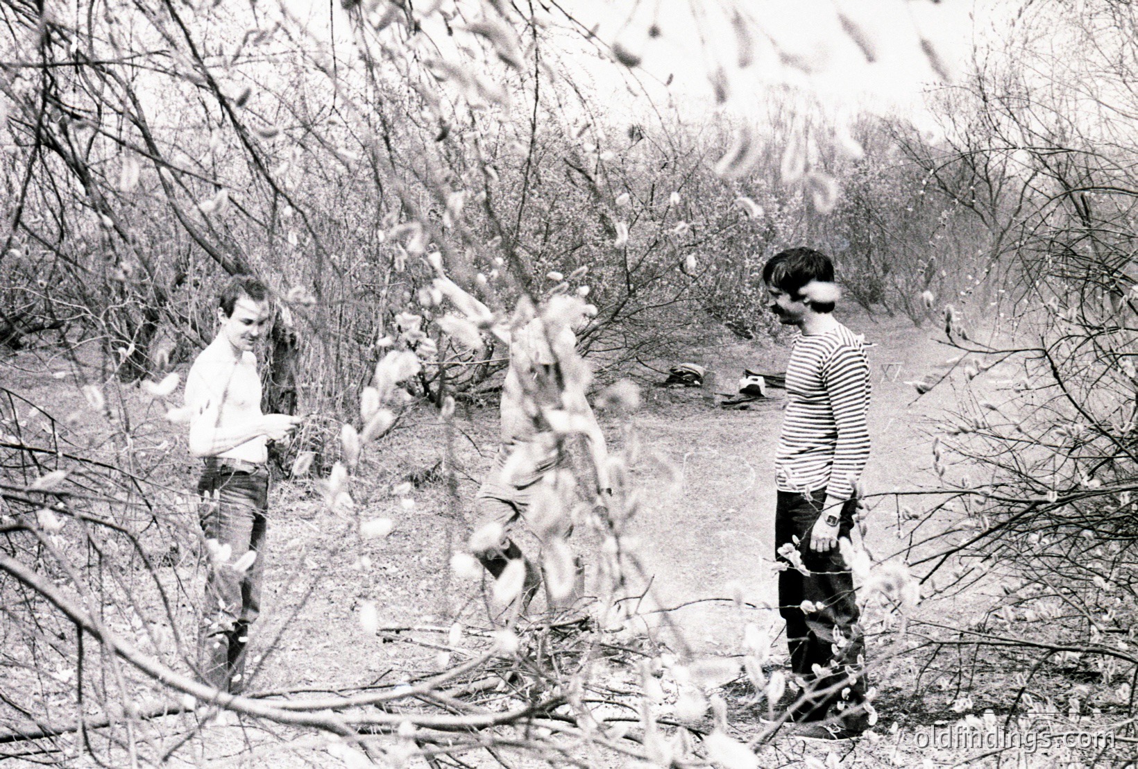 Vintage photograph