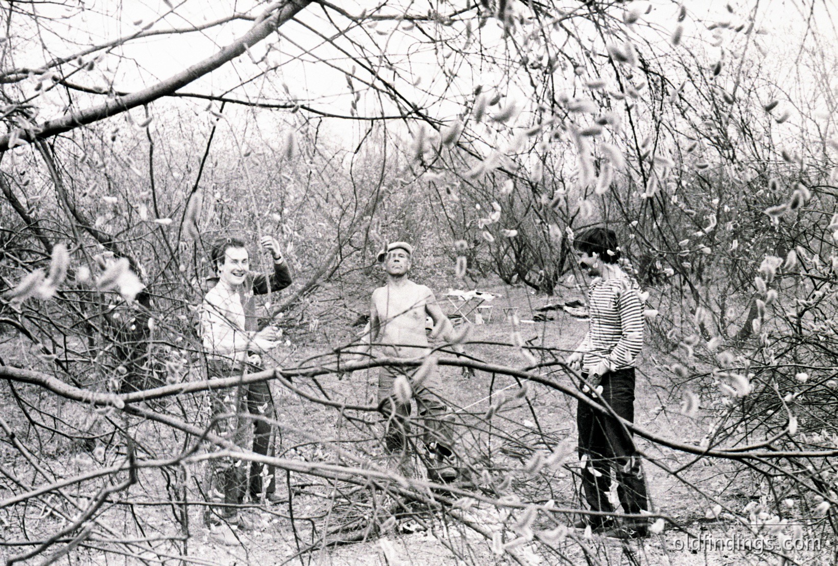 Vintage photograph