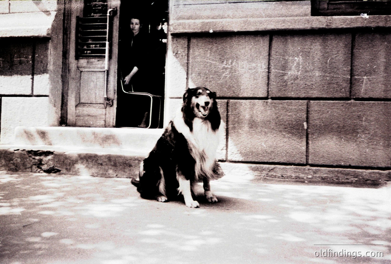Vintage photograph
