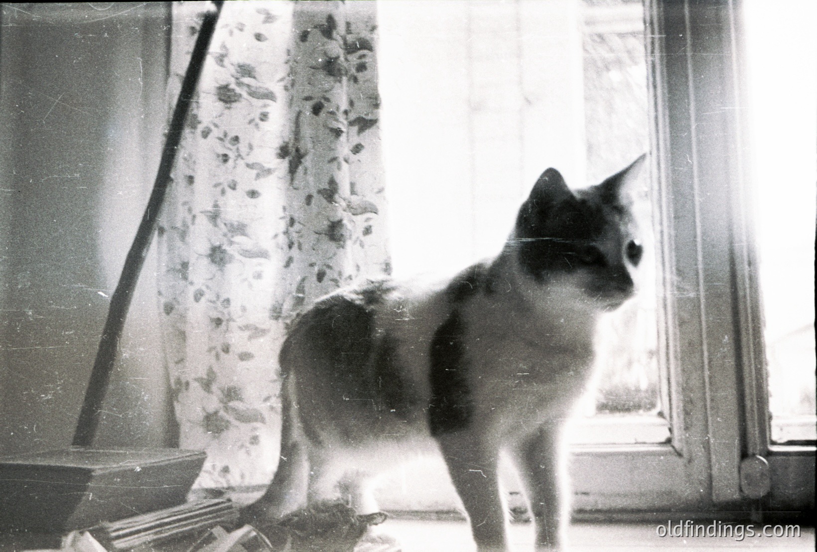Vintage photograph