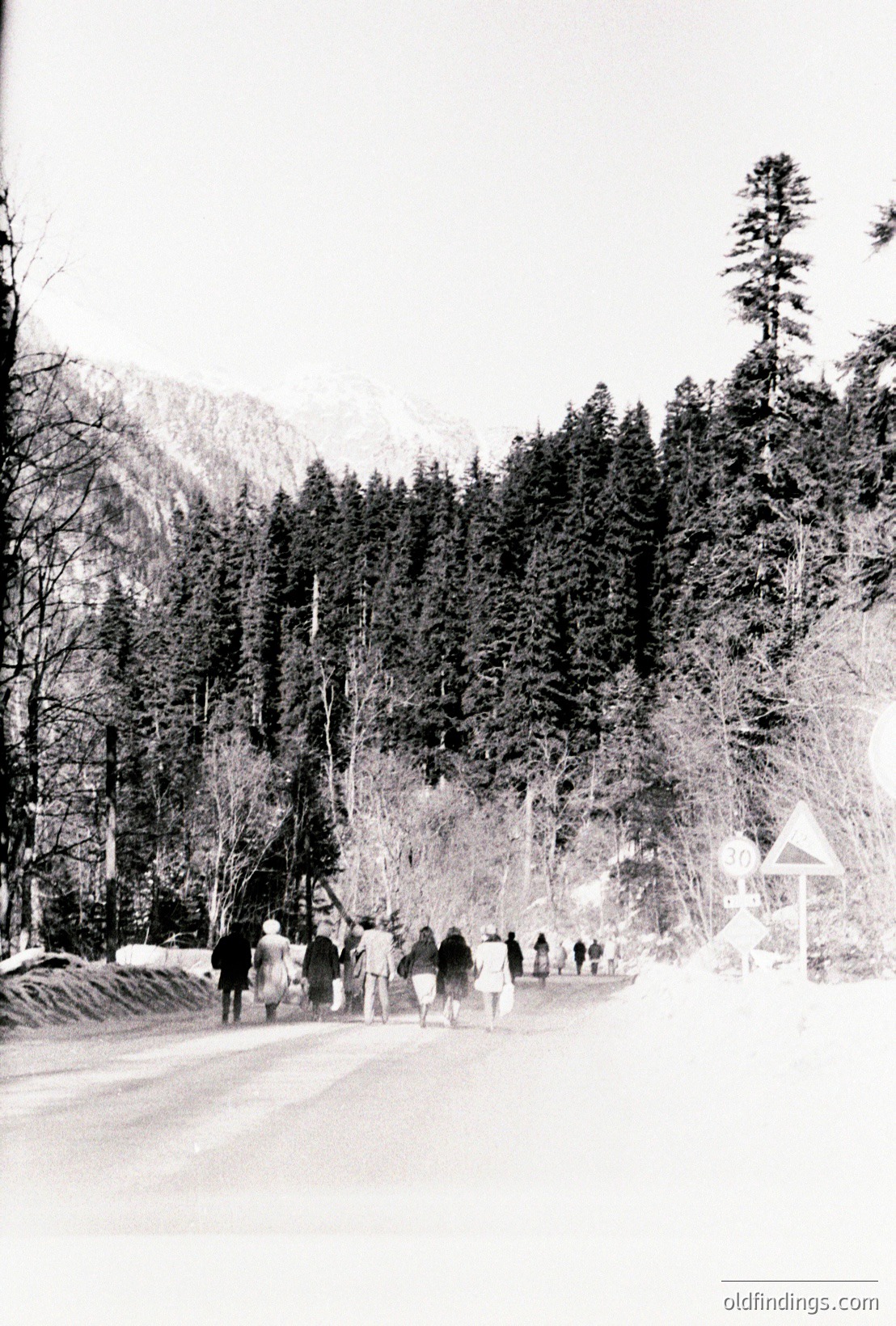 Vintage photograph