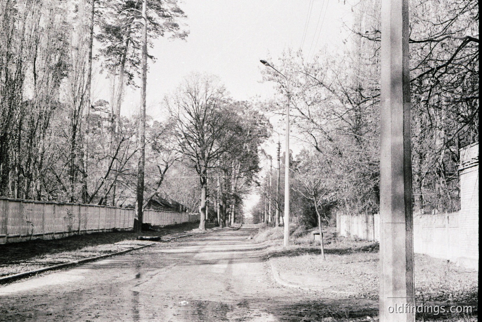 Vintage photograph