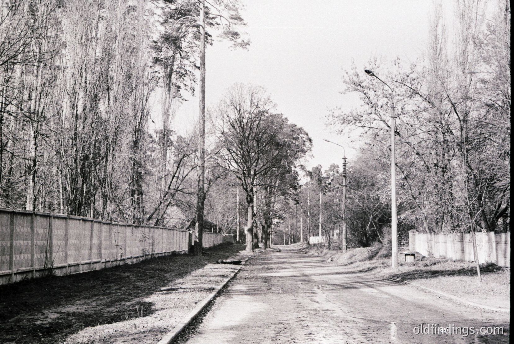 Vintage photograph