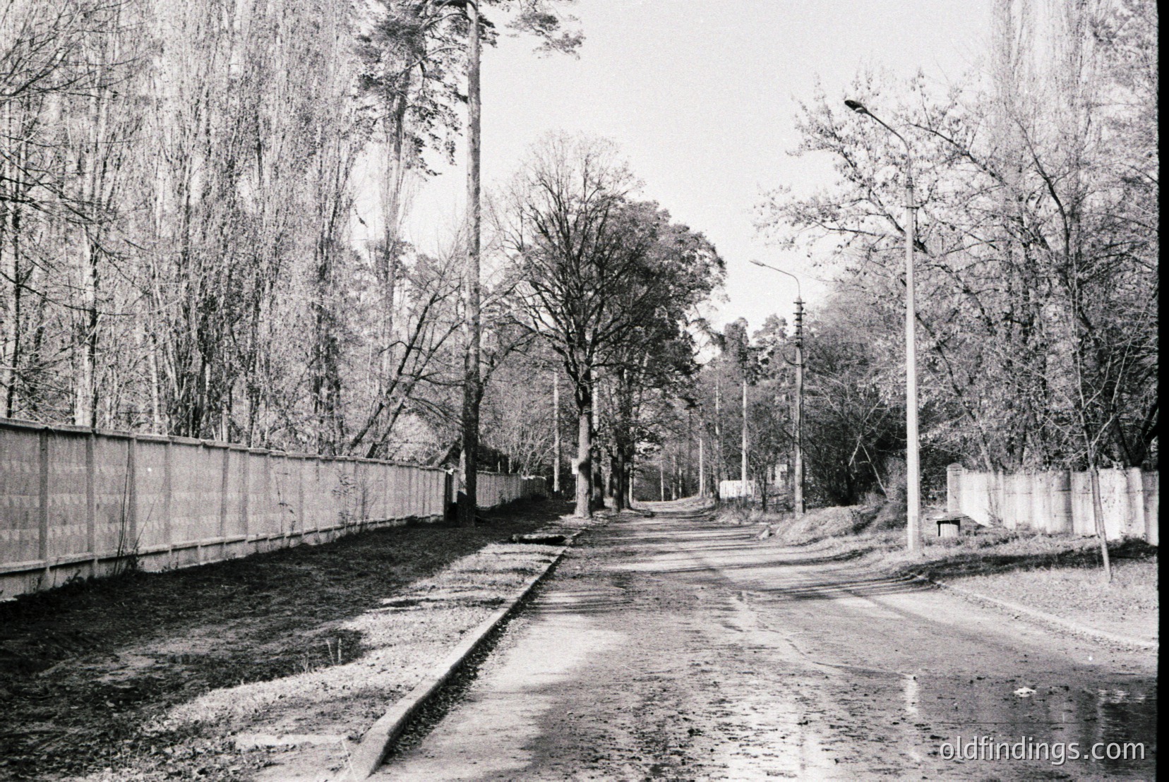 Vintage photograph