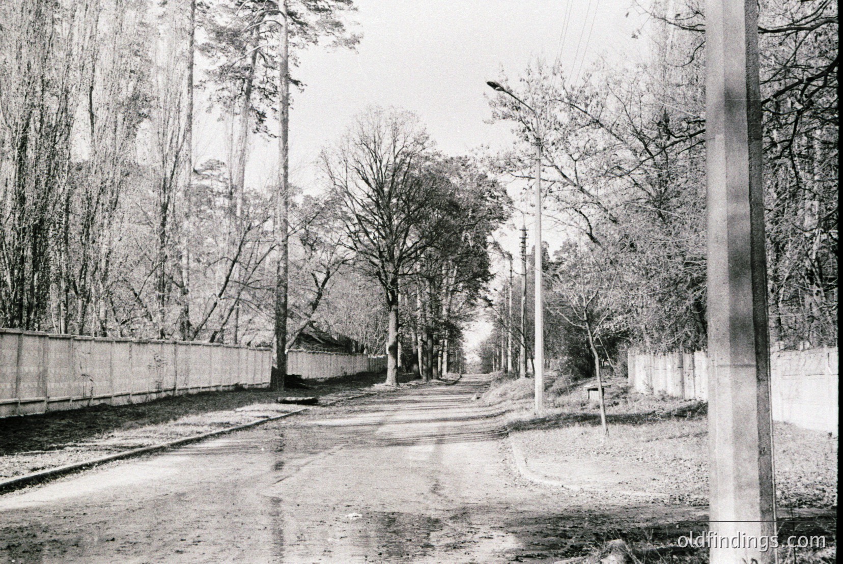 Vintage photograph