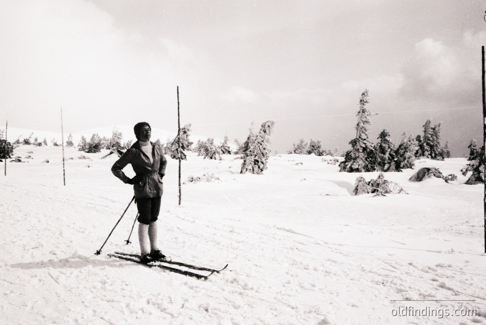 Vintage photograph