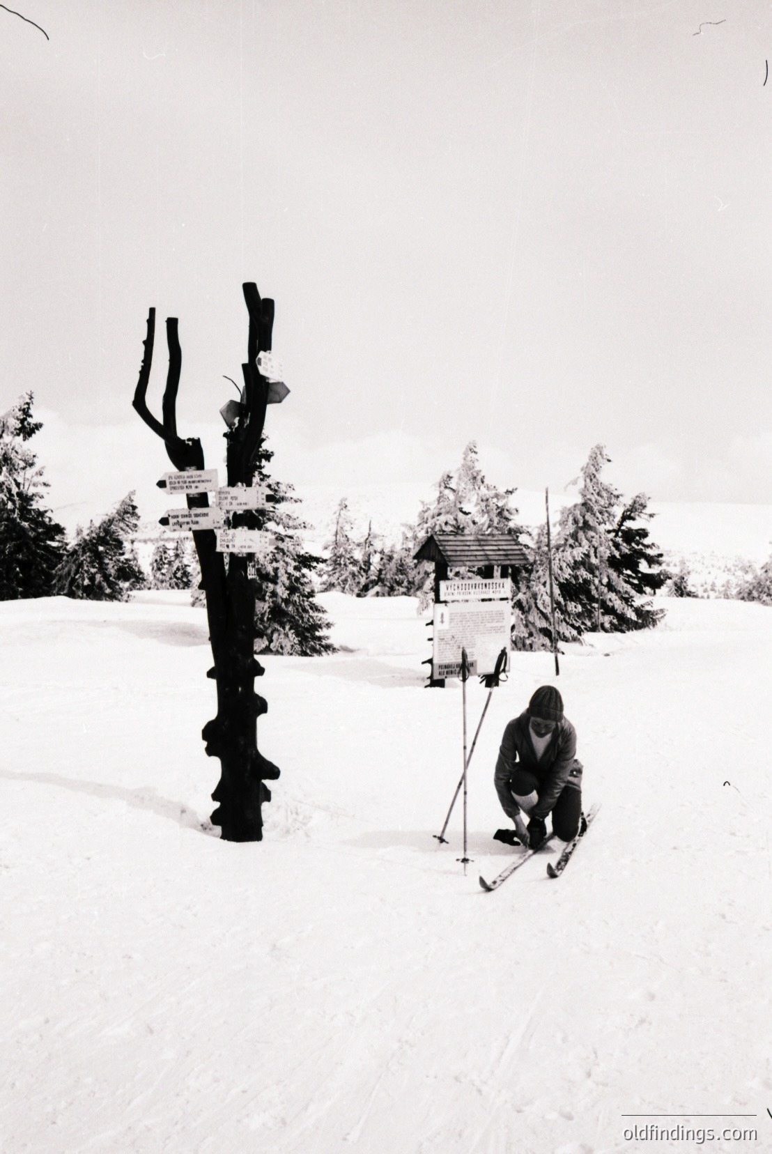 Vintage photograph