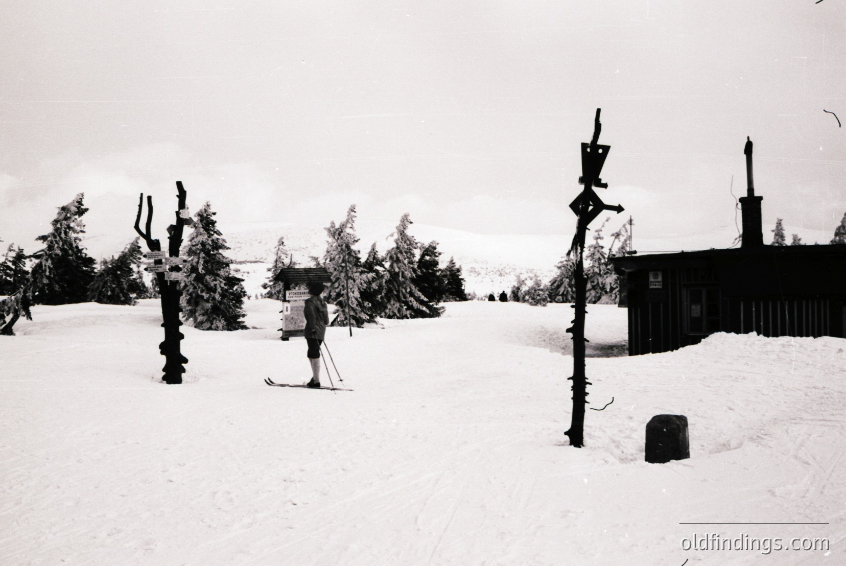 Vintage photograph