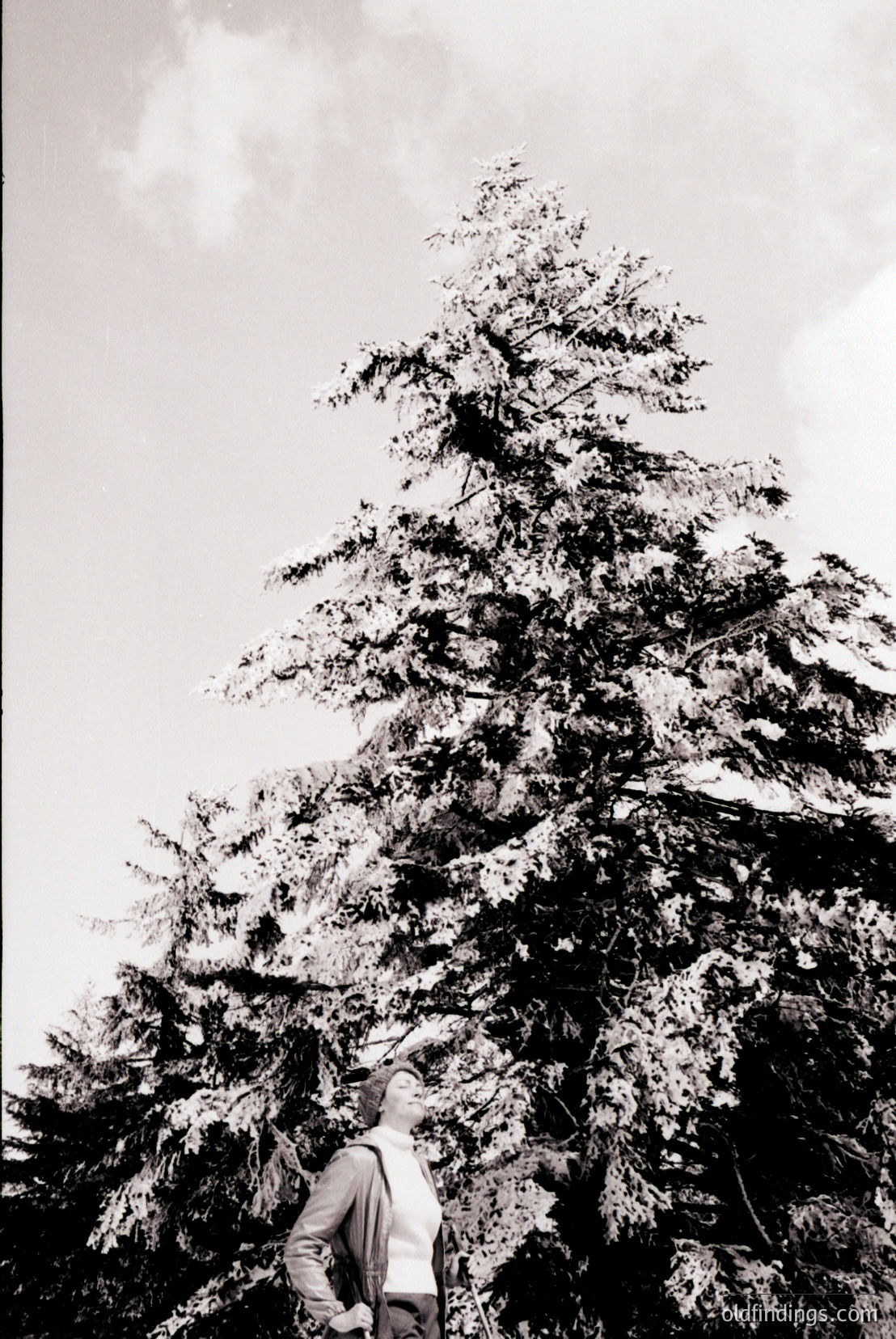Vintage photograph