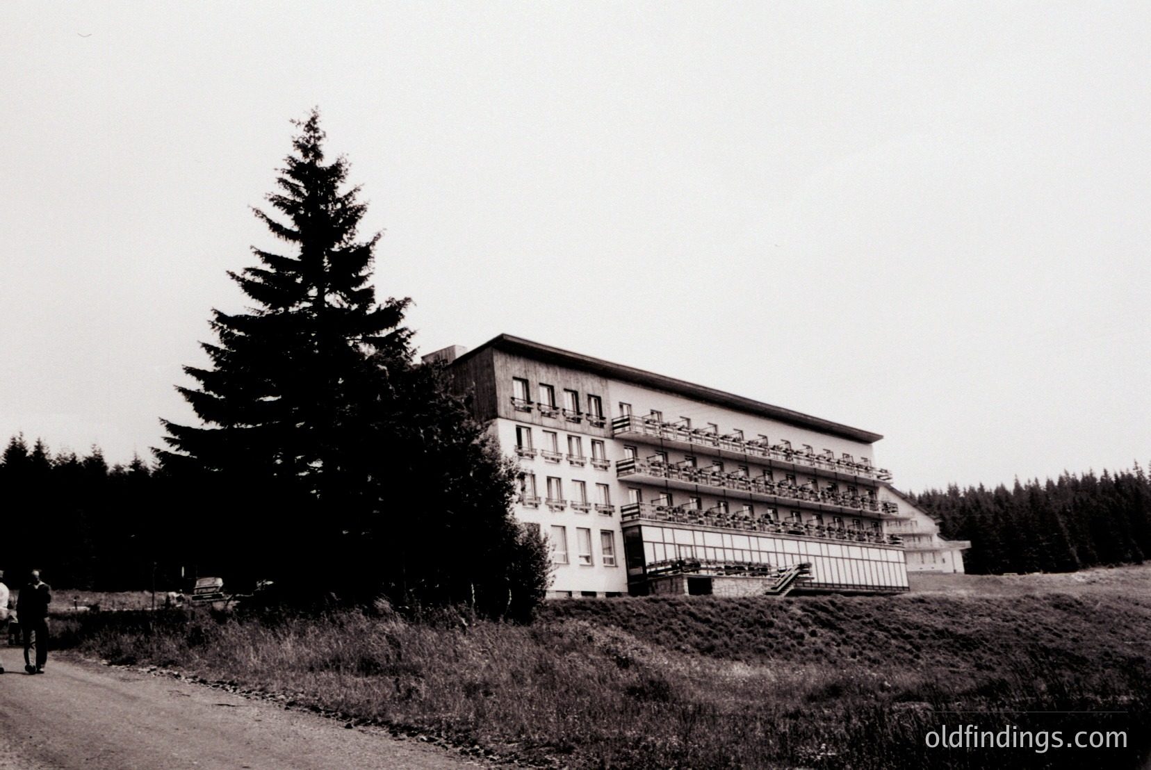 Vintage photograph