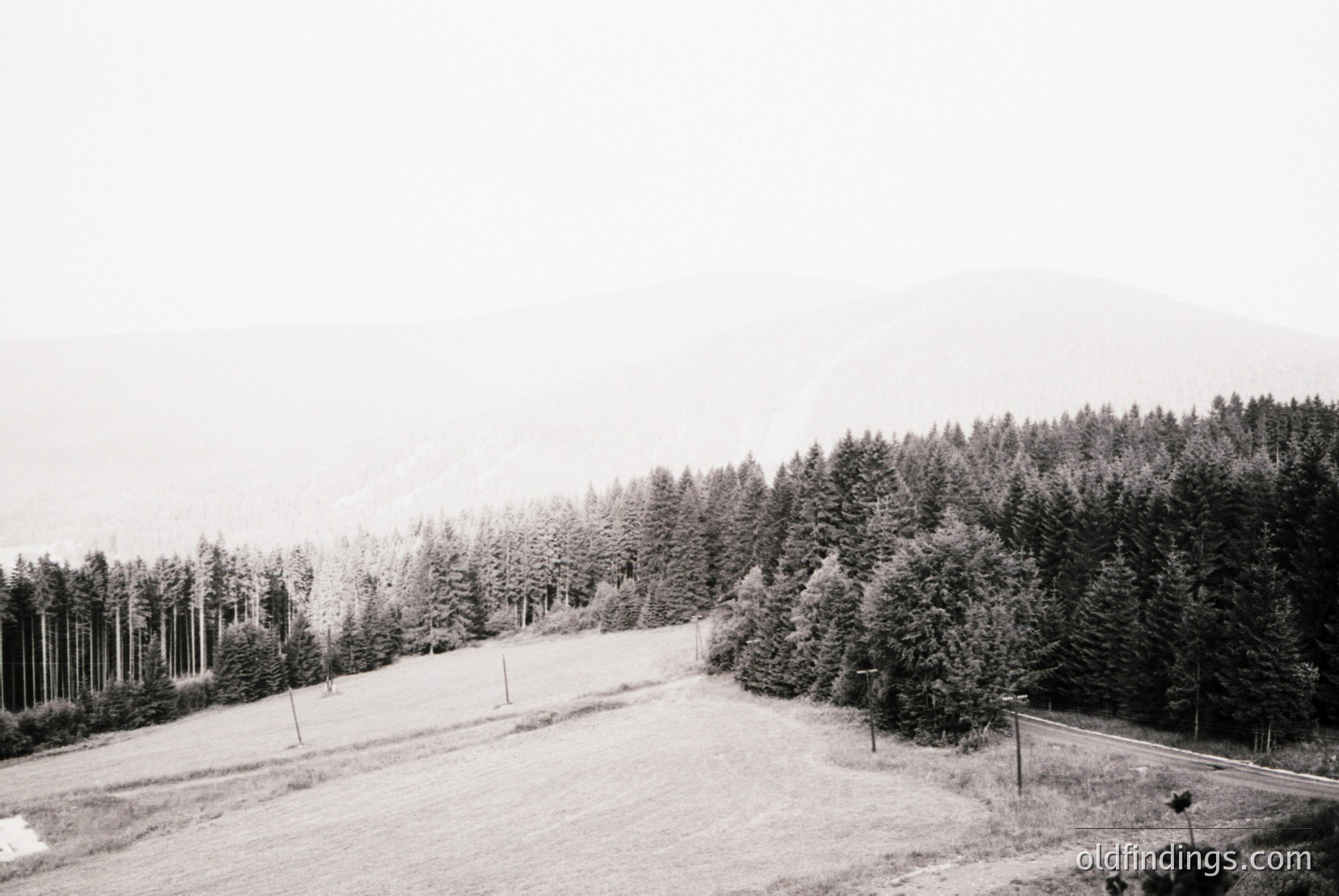 Vintage photograph