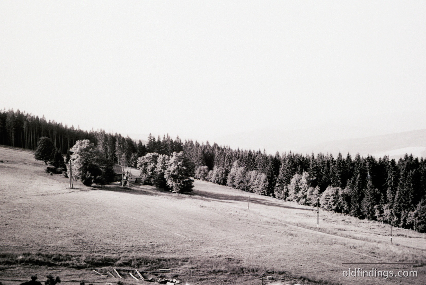 Vintage photograph