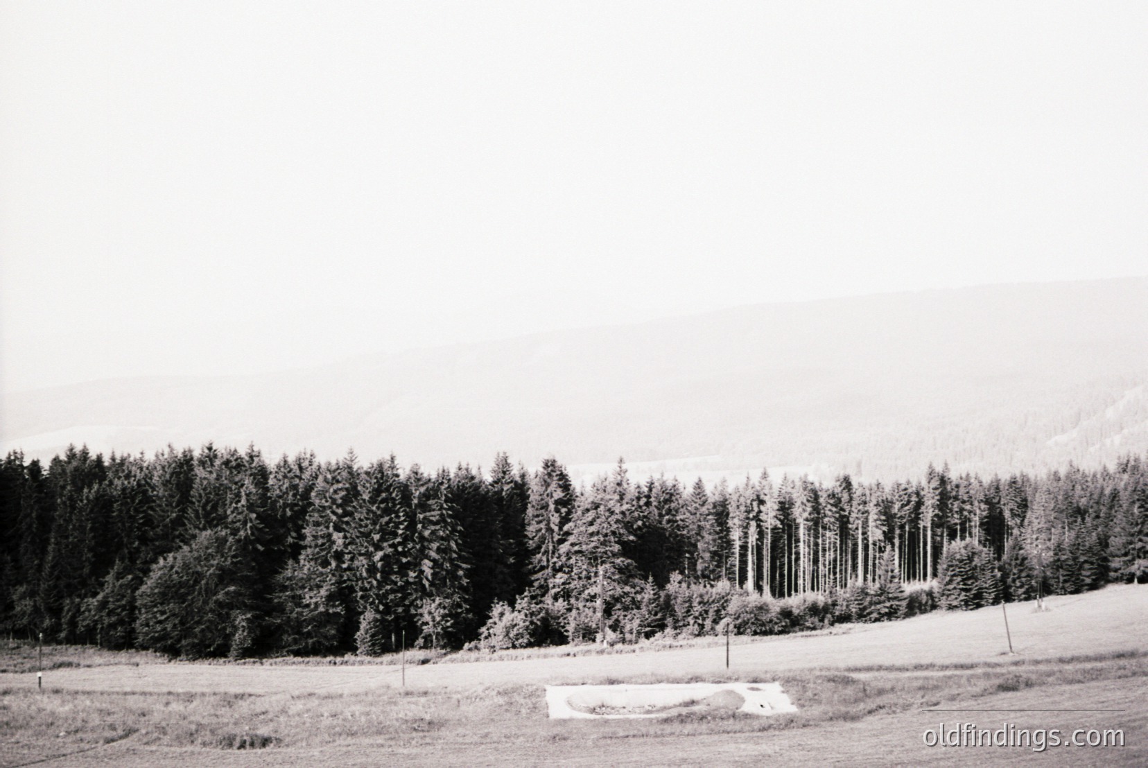 Vintage photograph