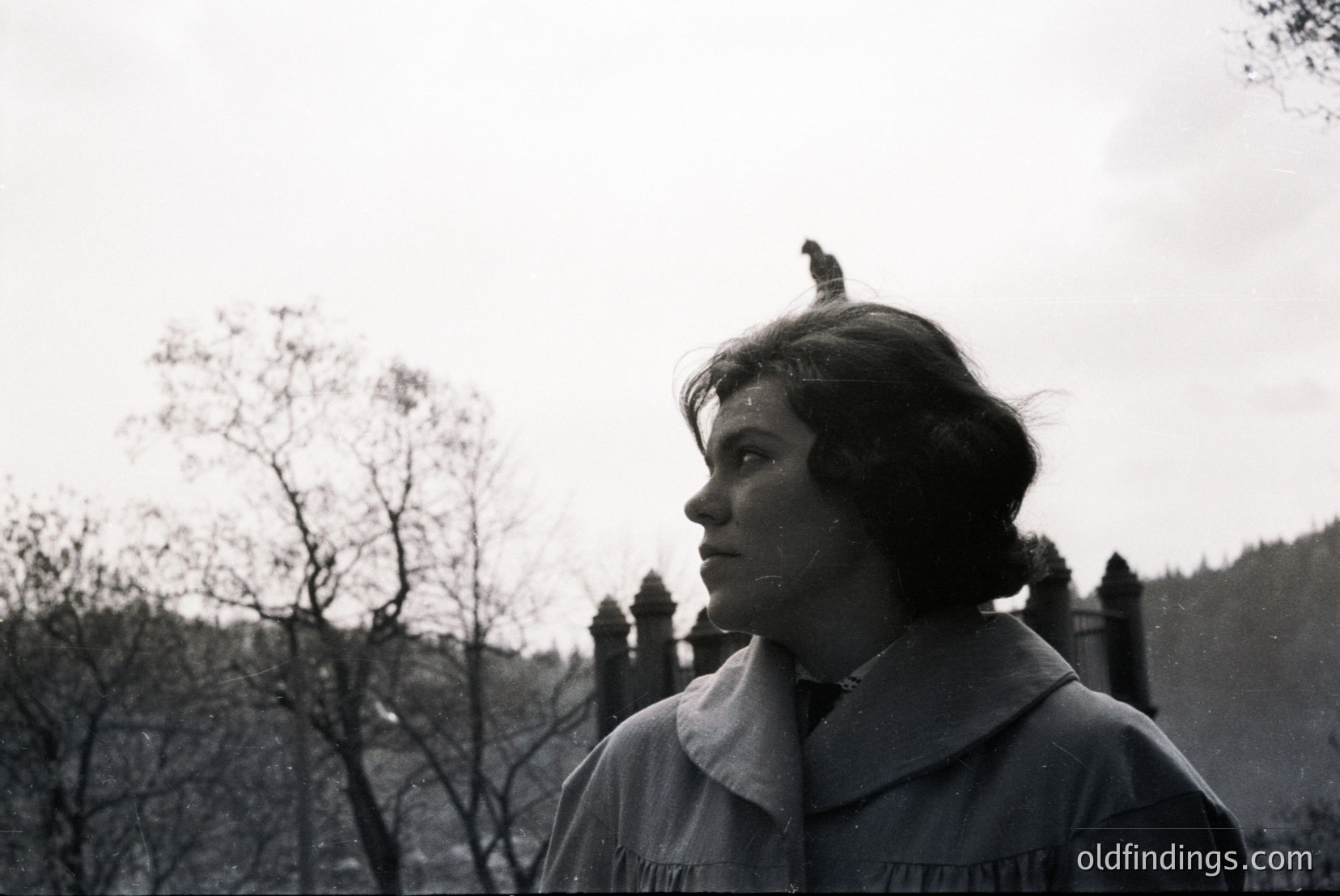 Vintage photograph